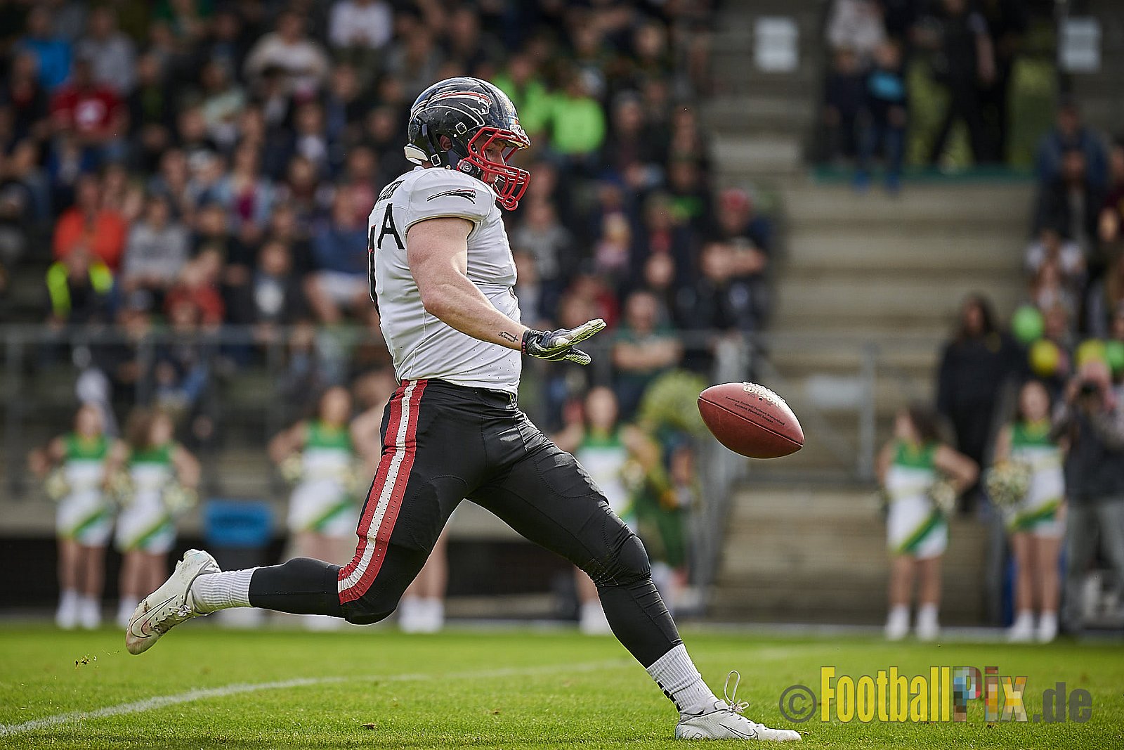 Cologne Crocodiles vs. Düsseldorf Panther - CologneCrocodilesVsDPanther