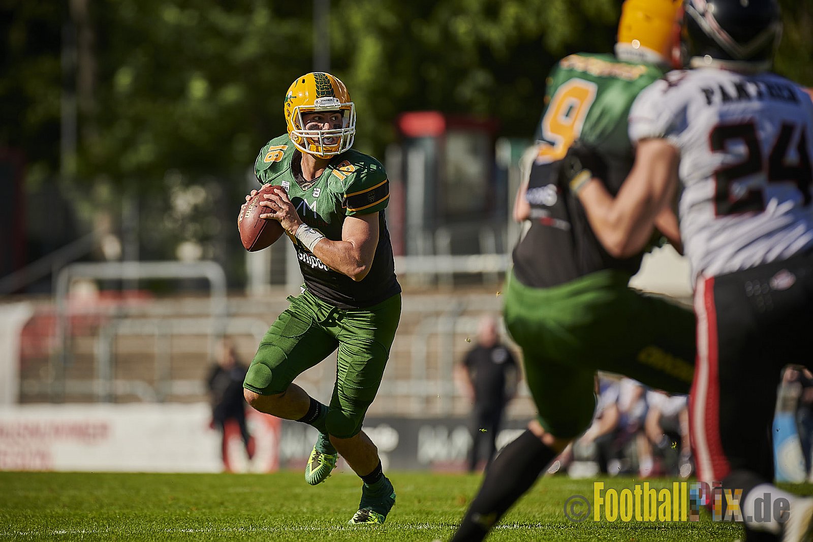Cologne Crocodiles vs. Düsseldorf Panther - CologneCrocodilesVsDPanther
