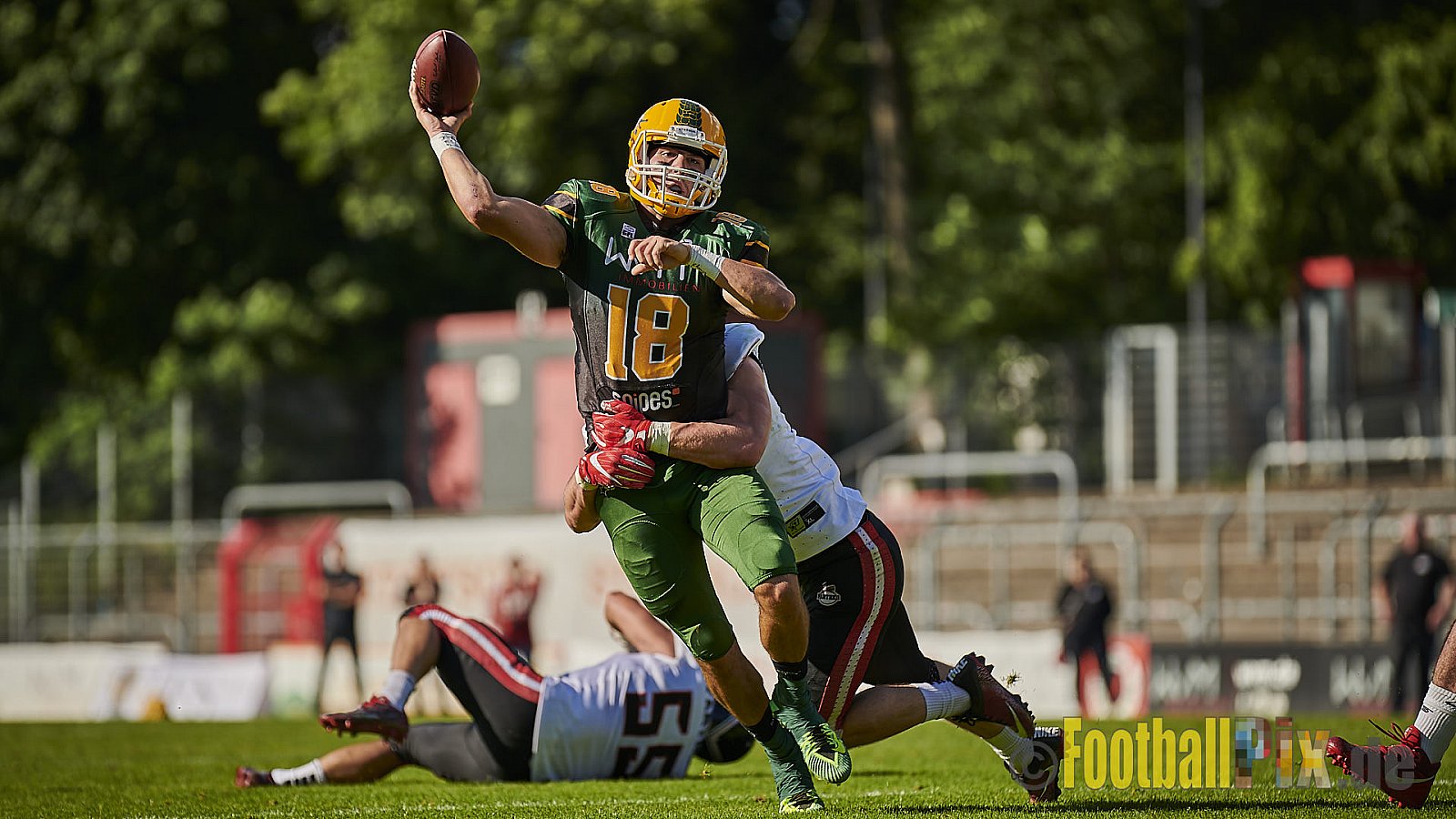 Cologne Crocodiles vs. Düsseldorf Panther - CologneCrocodilesVsDPanther