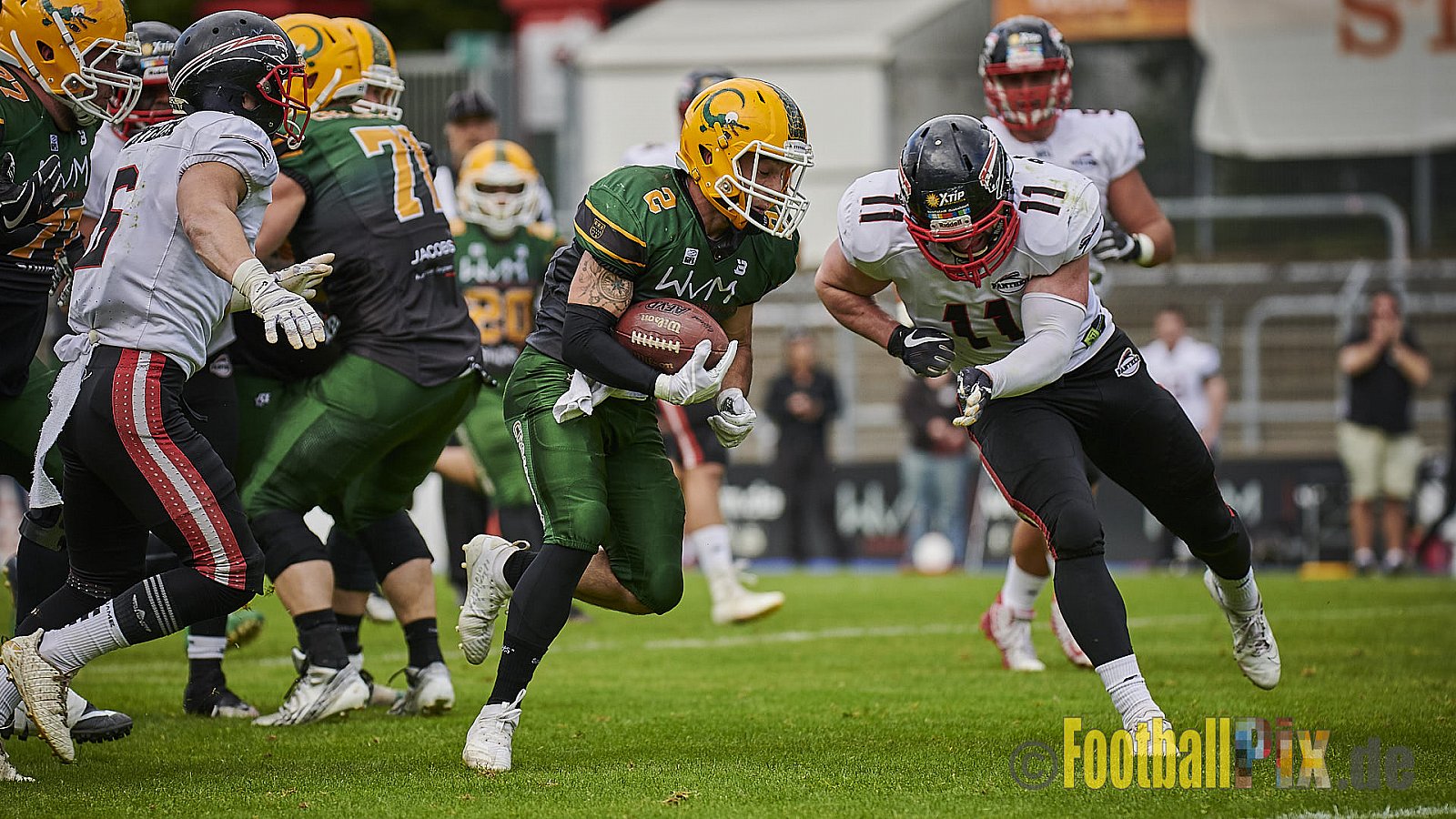 Cologne Crocodiles vs. Düsseldorf Panther - CologneCrocodilesVsDPanther