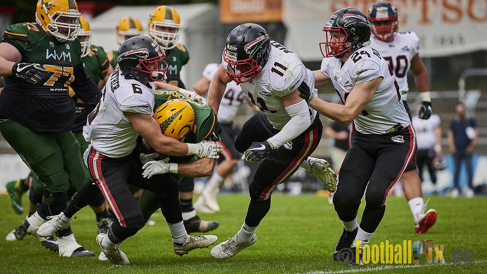 Cologne Crocodiles vs. Düsseldorf Panther - CologneCrocodilesVsDPanther