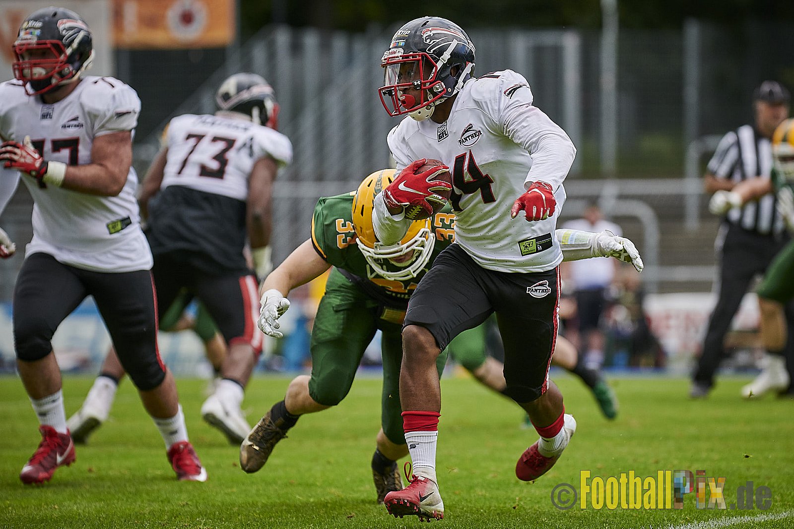 Cologne Crocodiles vs. Düsseldorf Panther - CologneCrocodilesVsDPanther
