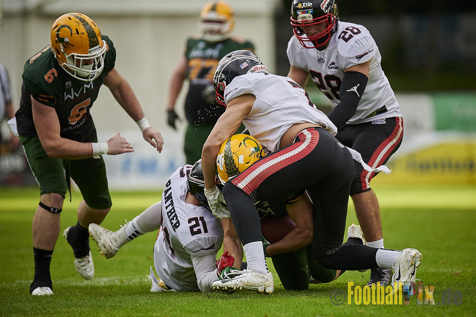 Cologne Crocodiles vs. Düsseldorf Panther - CologneCrocodilesVsDPanther