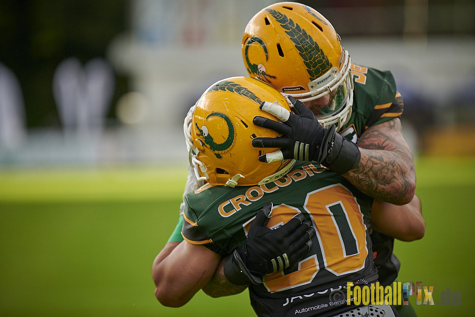 Cologne Crocodiles vs. Düsseldorf Panther - CologneCrocodilesVsDPanther