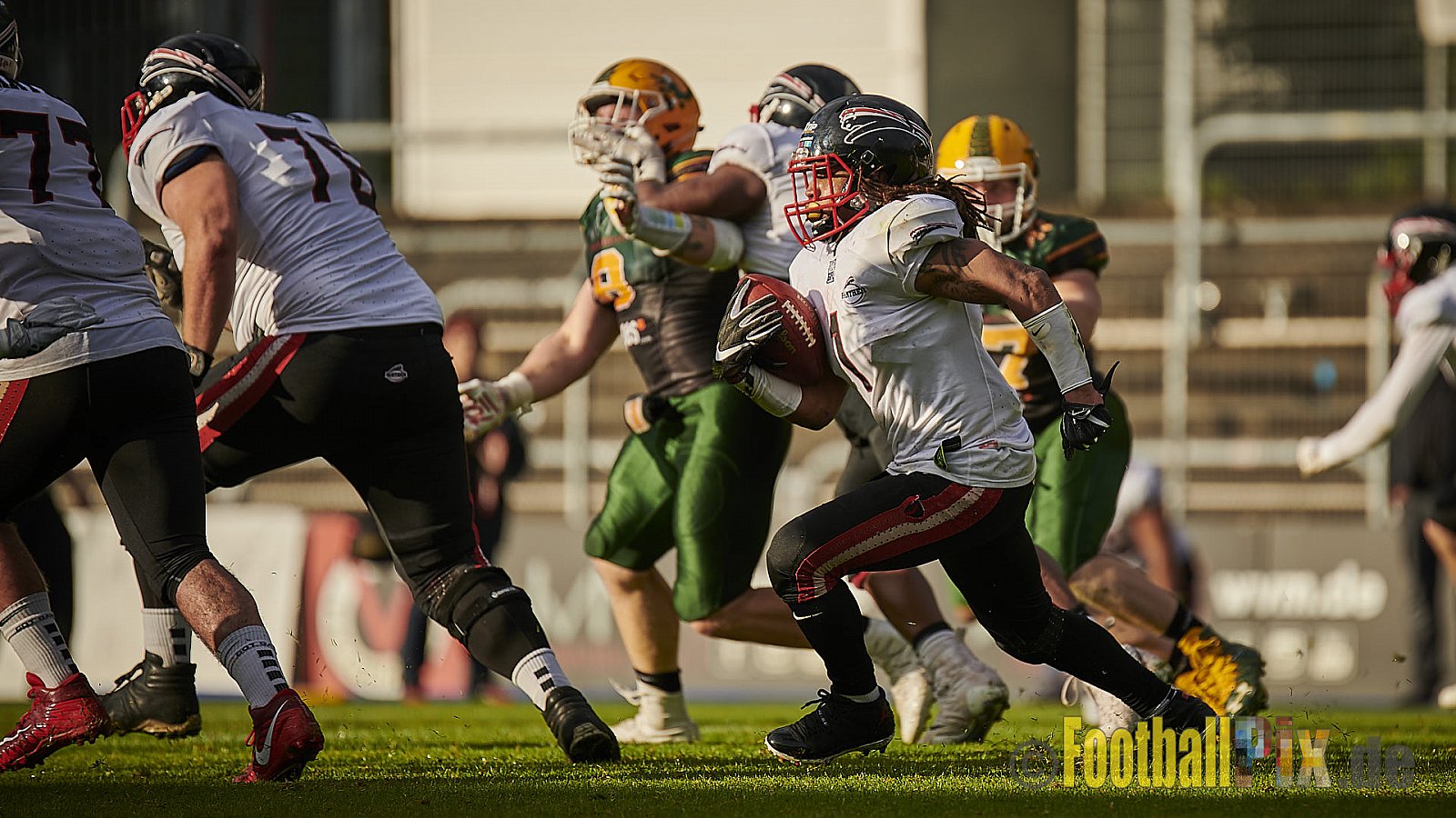 Cologne Crocodiles vs. Düsseldorf Panther - CologneCrocodilesVsDPanther