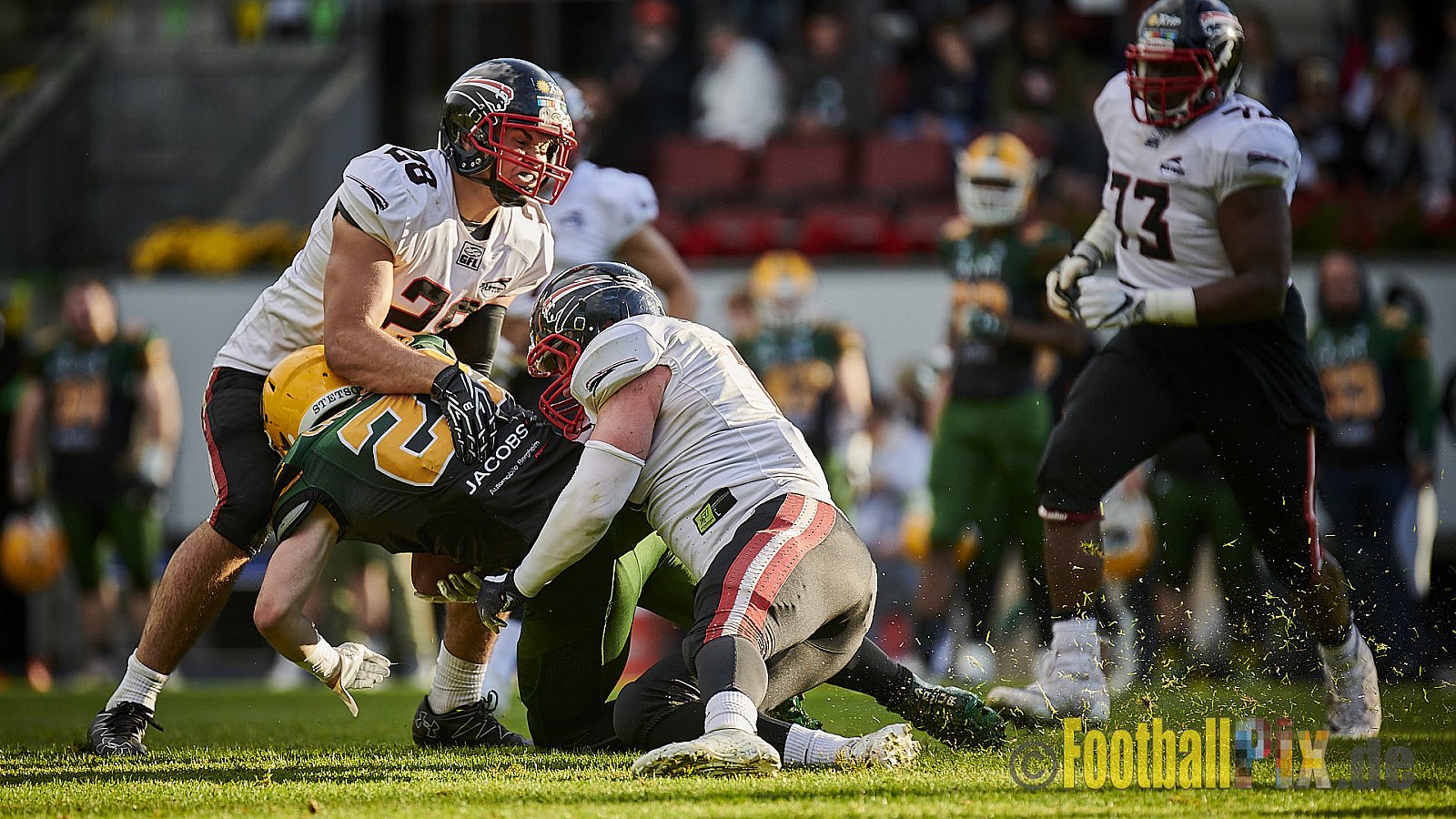 Cologne Crocodiles vs. Düsseldorf Panther - CologneCrocodilesVsDPanther