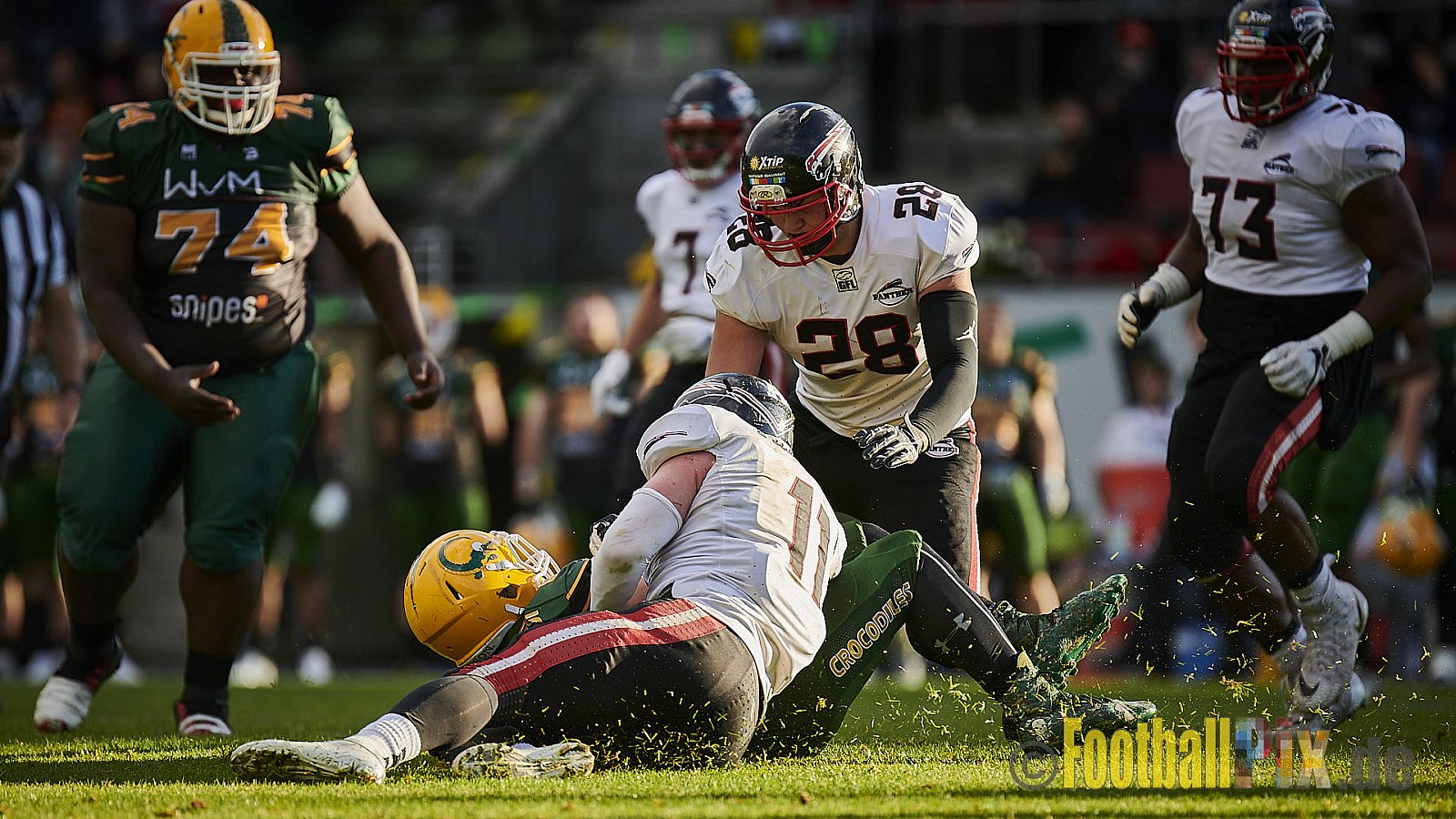 Cologne Crocodiles vs. Düsseldorf Panther - CologneCrocodilesVsDPanther
