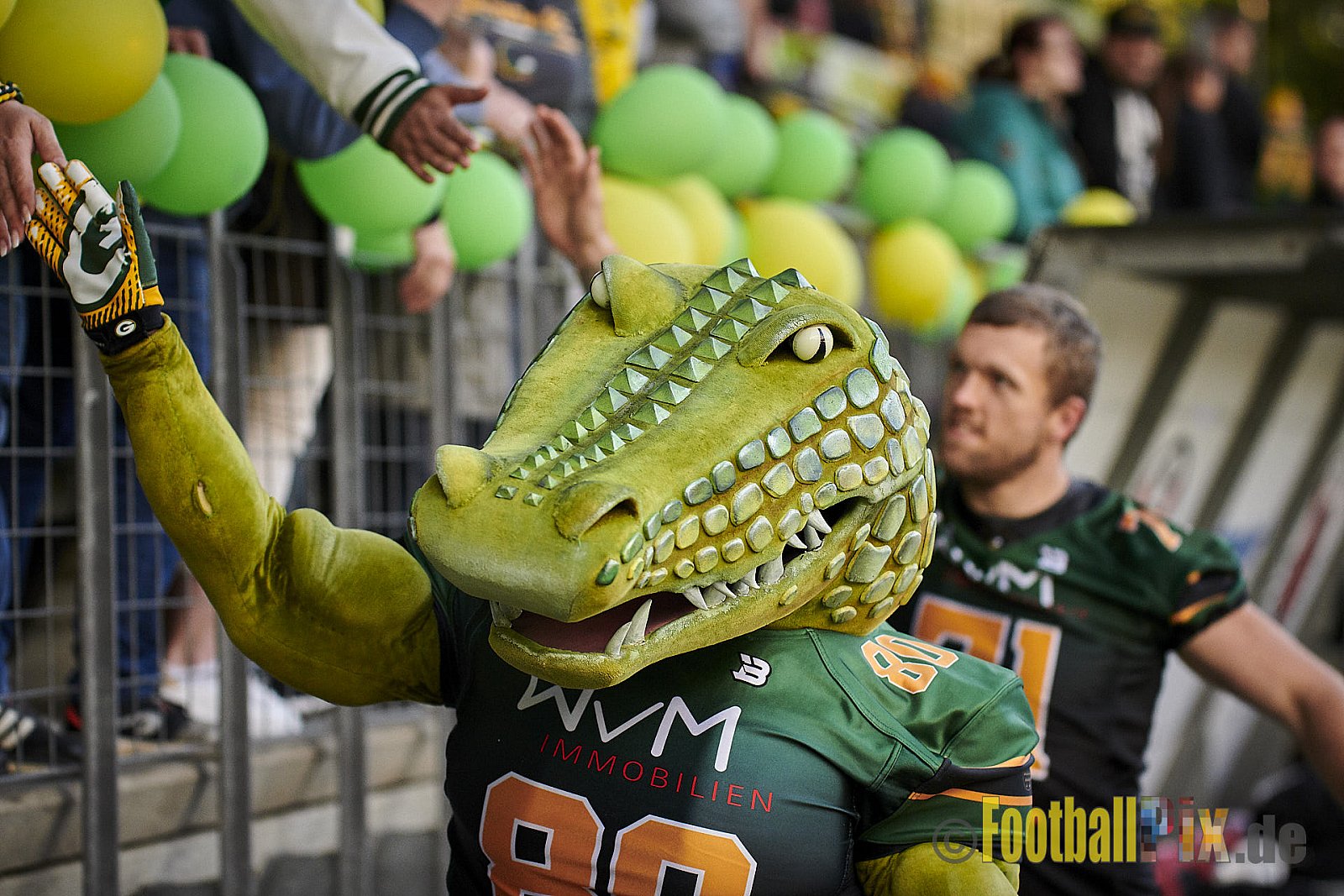 Cologne Crocodiles vs. Düsseldorf Panther - CologneCrocodilesVsDPanther