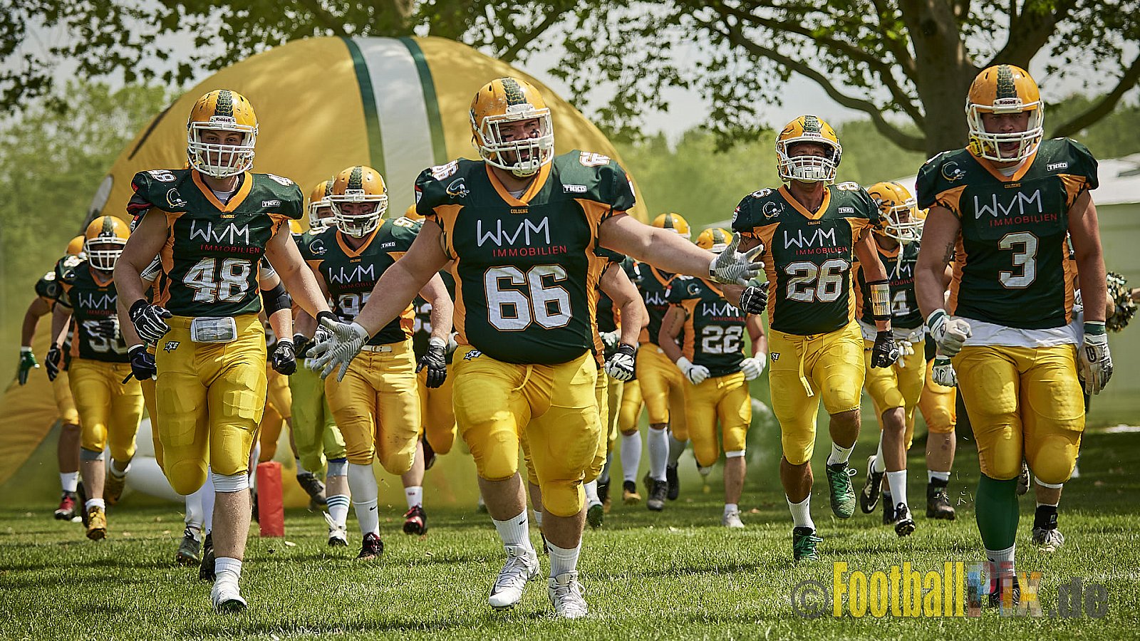 Cologne Crocodiles Prospects vs. Mönchengladbach Wolfpack - CologneCrocodilesProspectsVsMgWolfpack