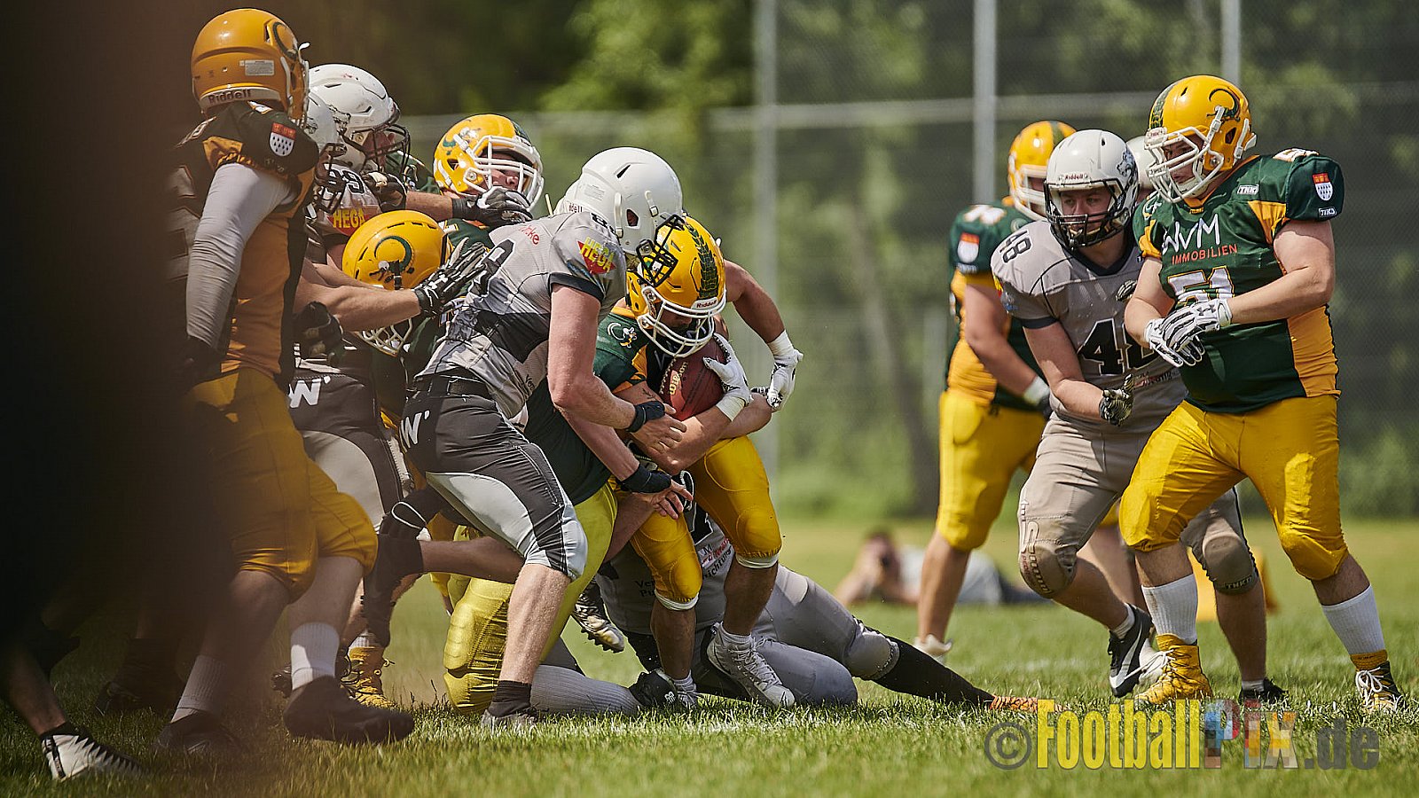 Cologne Crocodiles Prospects vs. Mönchengladbach Wolfpack - CologneCrocodilesProspectsVsMgWolfpack