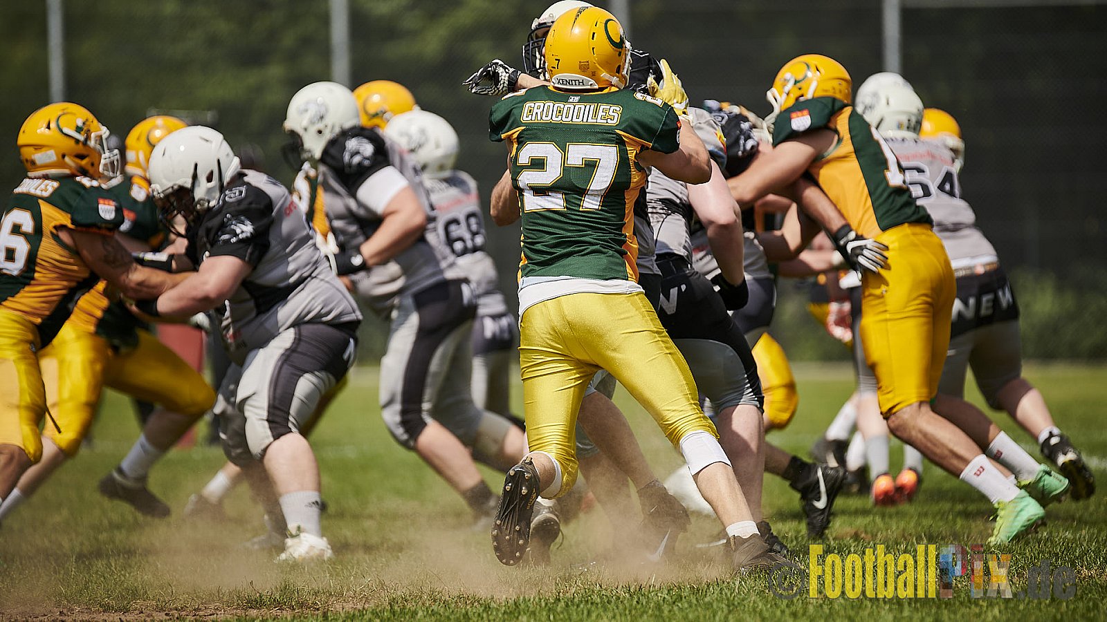Cologne Crocodiles Prospects vs. Mönchengladbach Wolfpack - CologneCrocodilesProspectsVsMgWolfpack