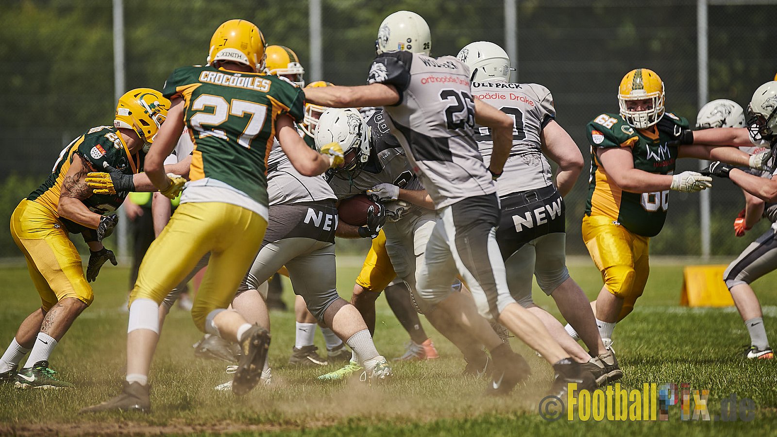 Cologne Crocodiles Prospects vs. Mönchengladbach Wolfpack - CologneCrocodilesProspectsVsMgWolfpack