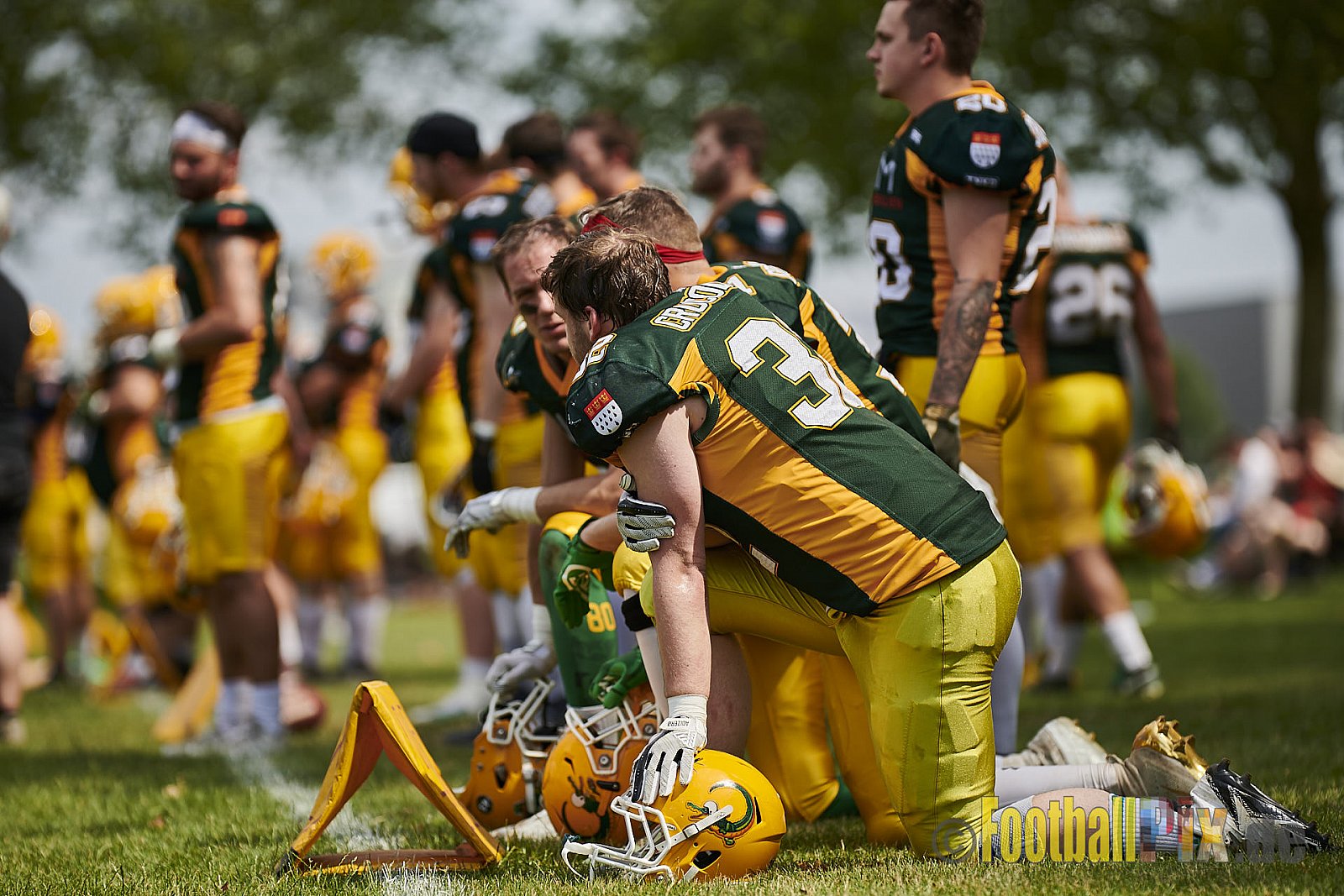 Cologne Crocodiles Prospects vs. Mönchengladbach Wolfpack - CologneCrocodilesProspectsVsMgWolfpack
