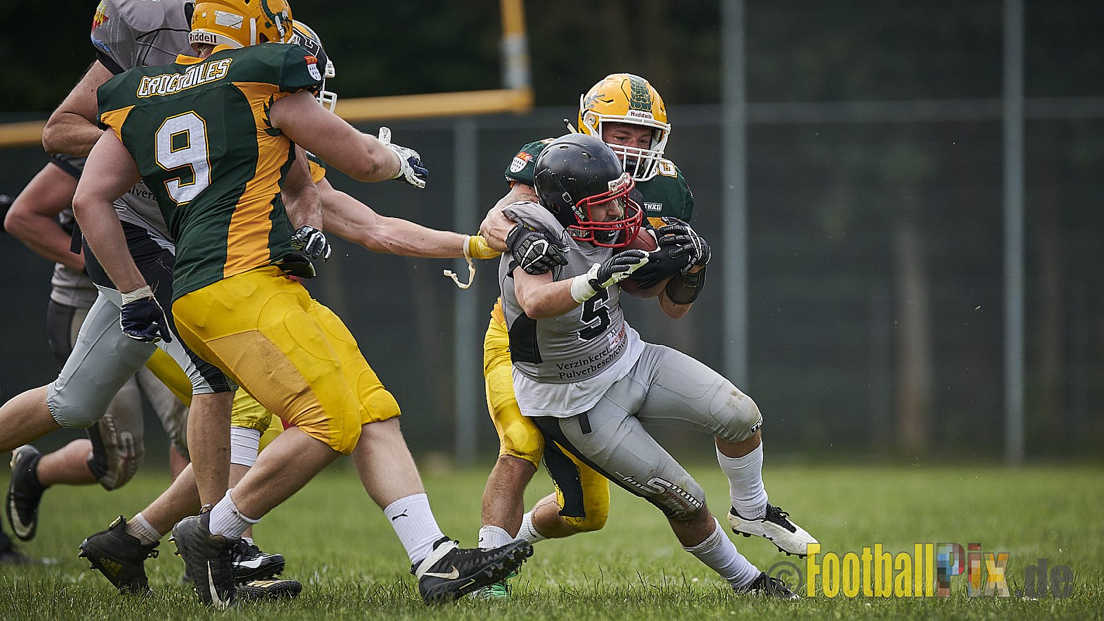 Cologne Crocodiles Prospects vs. Mönchengladbach Wolfpack - CologneCrocodilesProspectsVsMgWolfpack