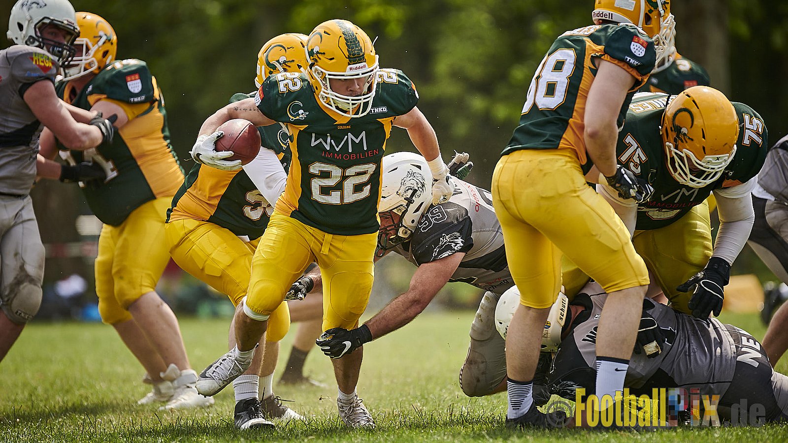 Cologne Crocodiles Prospects vs. Mönchengladbach Wolfpack - CologneCrocodilesProspectsVsMgWolfpack