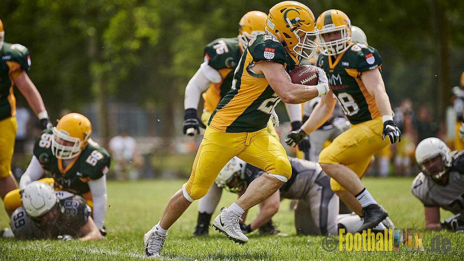 Cologne Crocodiles Prospects vs. Mönchengladbach Wolfpack - CologneCrocodilesProspectsVsMgWolfpack
