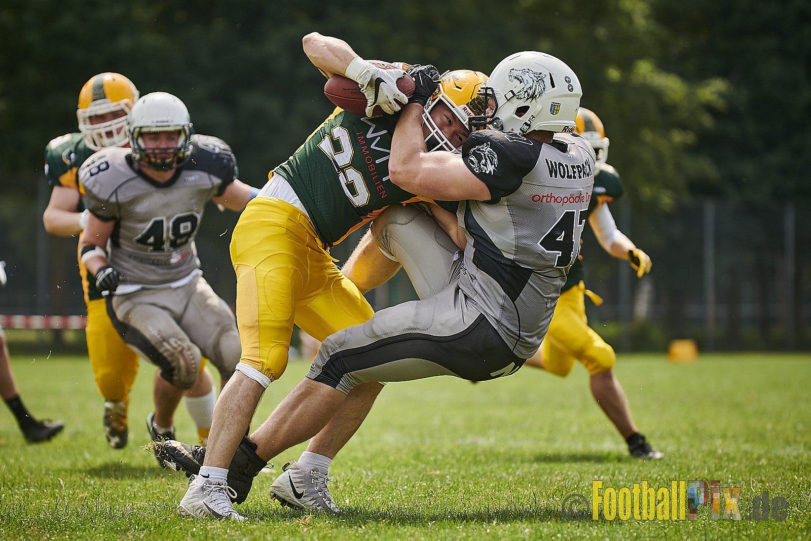 Cologne Crocodiles Prospects vs. Mönchengladbach Wolfpack - CologneCrocodilesProspectsVsMgWolfpack