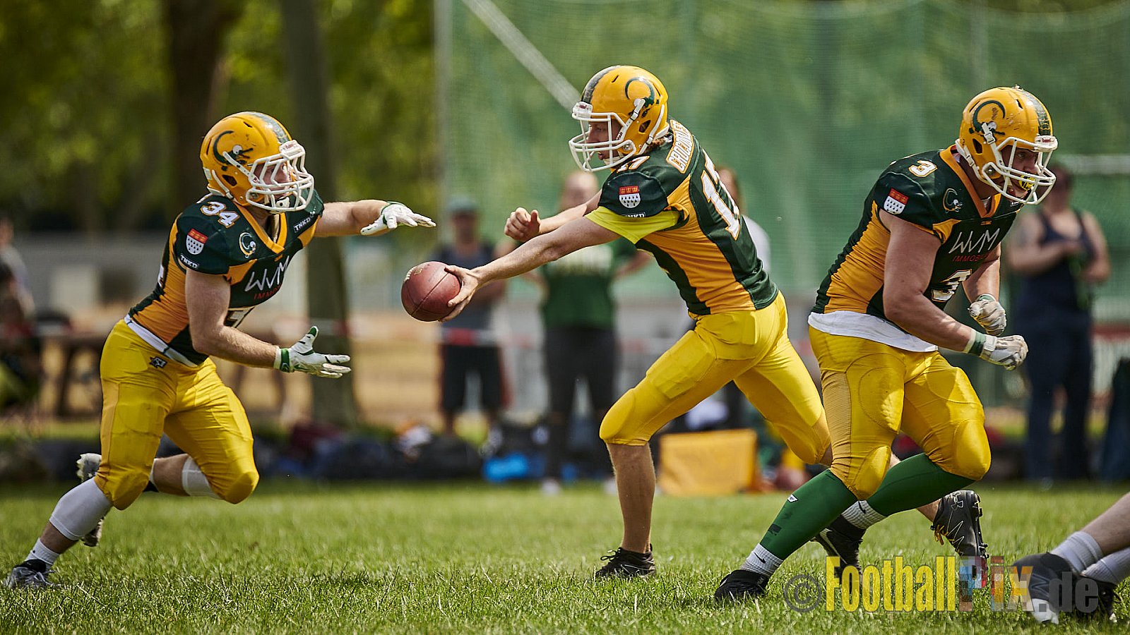 Cologne Crocodiles Prospects vs. Mönchengladbach Wolfpack - CologneCrocodilesProspectsVsMgWolfpack