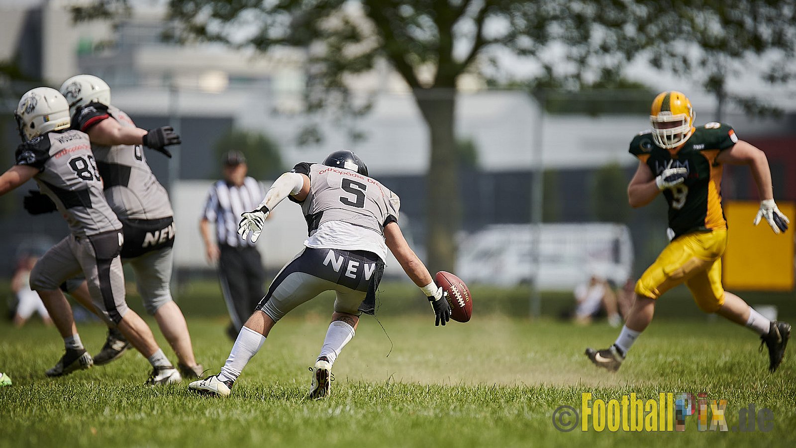 Cologne Crocodiles Prospects vs. Mönchengladbach Wolfpack - CologneCrocodilesProspectsVsMgWolfpack