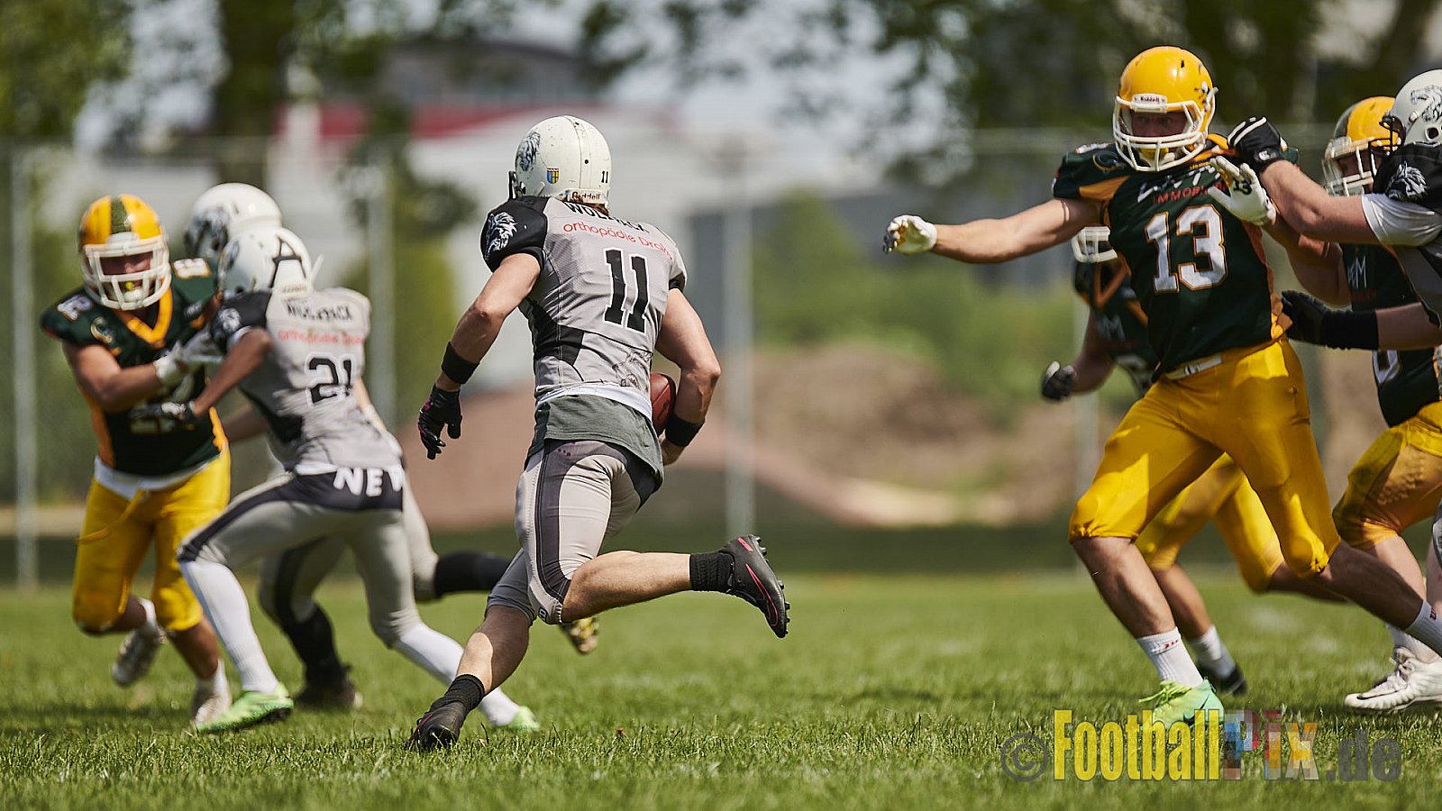 Cologne Crocodiles Prospects vs. Mönchengladbach Wolfpack - CologneCrocodilesProspectsVsMgWolfpack
