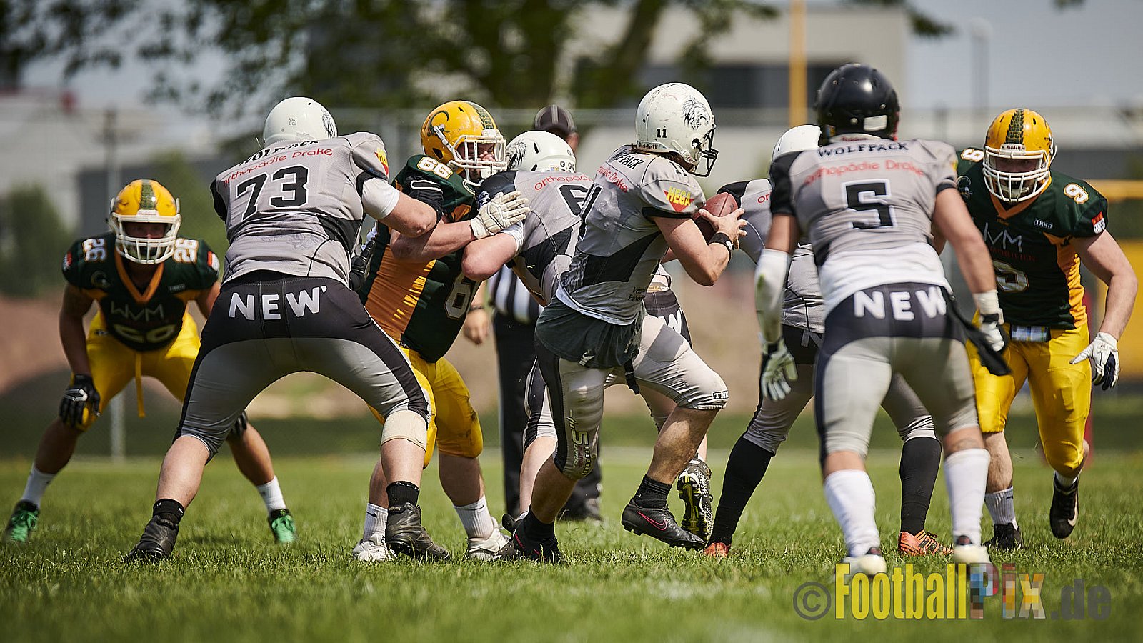 Cologne Crocodiles Prospects vs. Mönchengladbach Wolfpack - CologneCrocodilesProspectsVsMgWolfpack