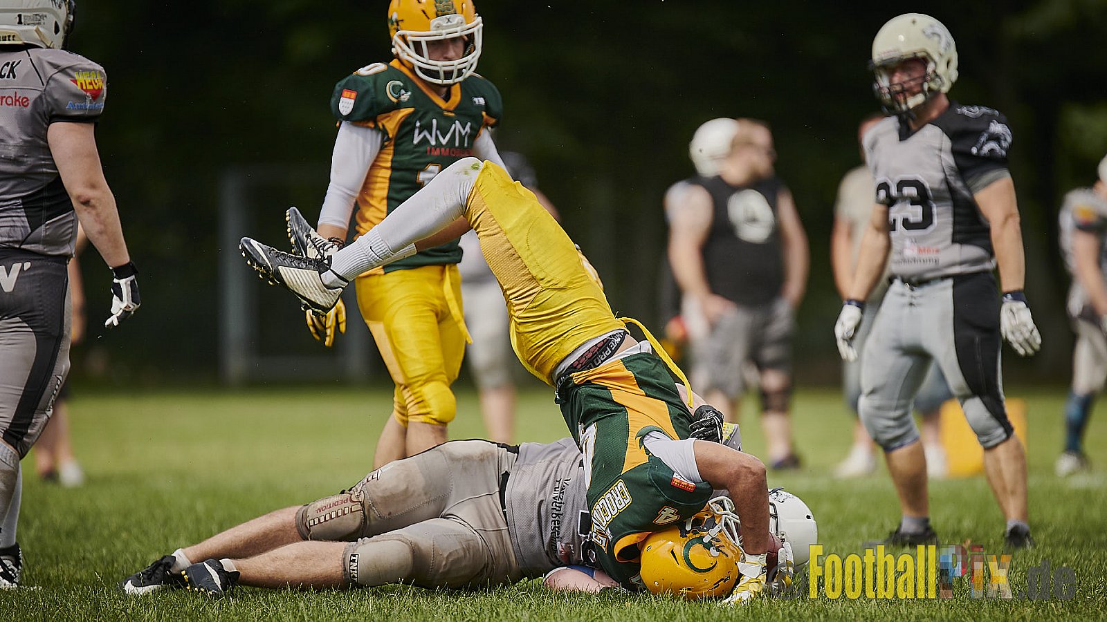 Cologne Crocodiles Prospects vs. Mönchengladbach Wolfpack - CologneCrocodilesProspectsVsMgWolfpack
