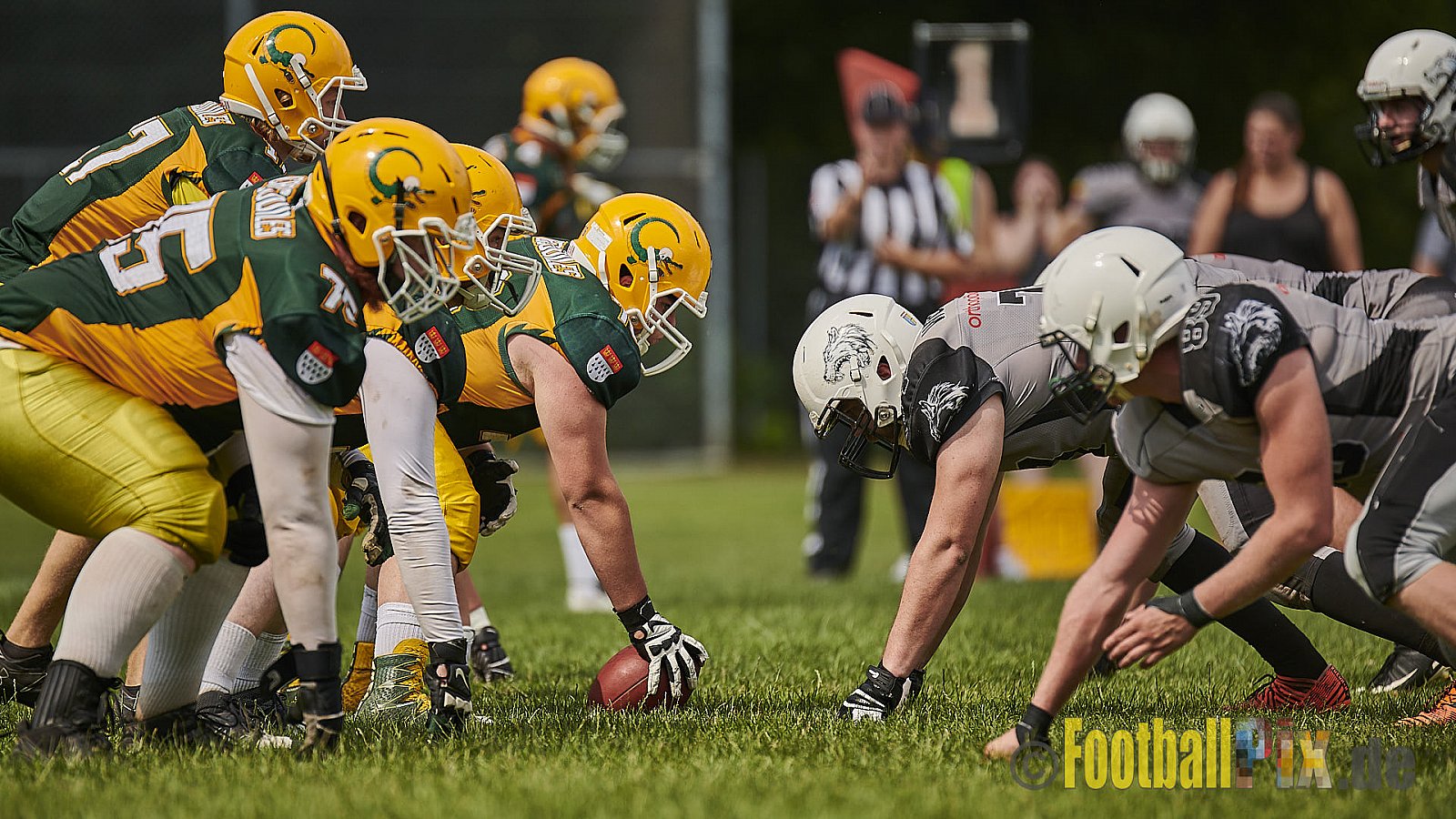 Cologne Crocodiles Prospects vs. Mönchengladbach Wolfpack - CologneCrocodilesProspectsVsMgWolfpack