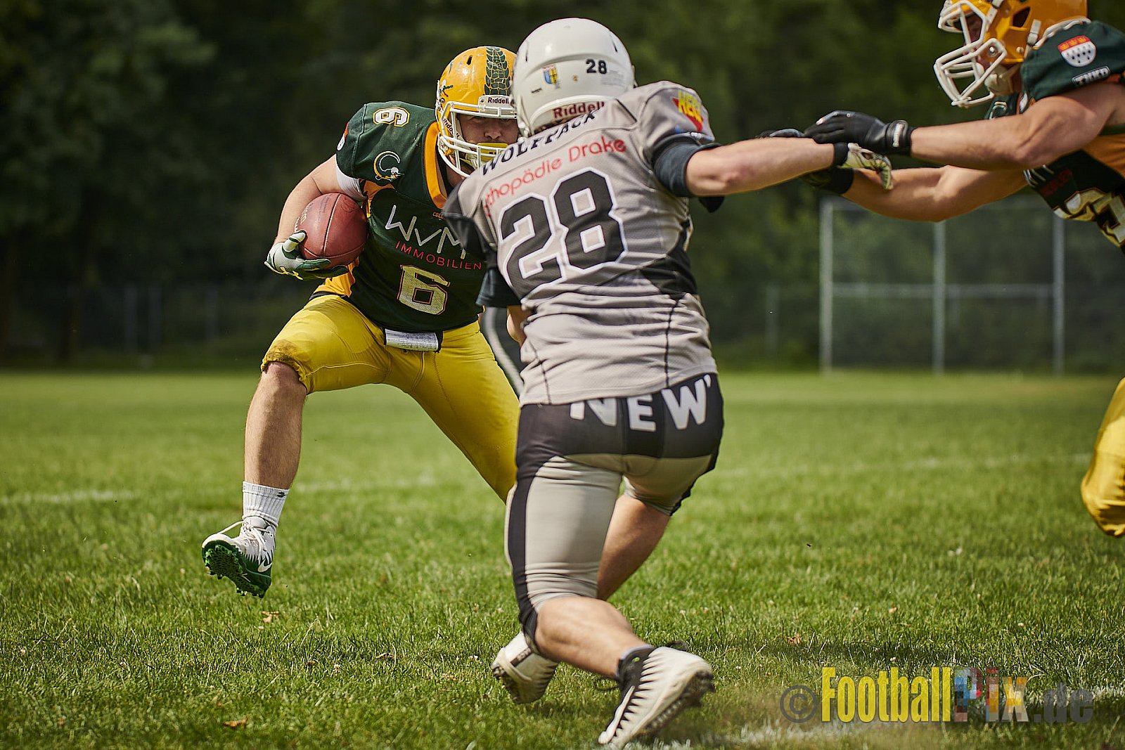 Cologne Crocodiles Prospects vs. Mönchengladbach Wolfpack - CologneCrocodilesProspectsVsMgWolfpack