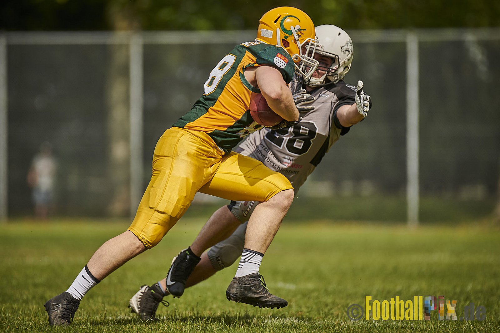 Cologne Crocodiles Prospects vs. Mönchengladbach Wolfpack - CologneCrocodilesProspectsVsMgWolfpack