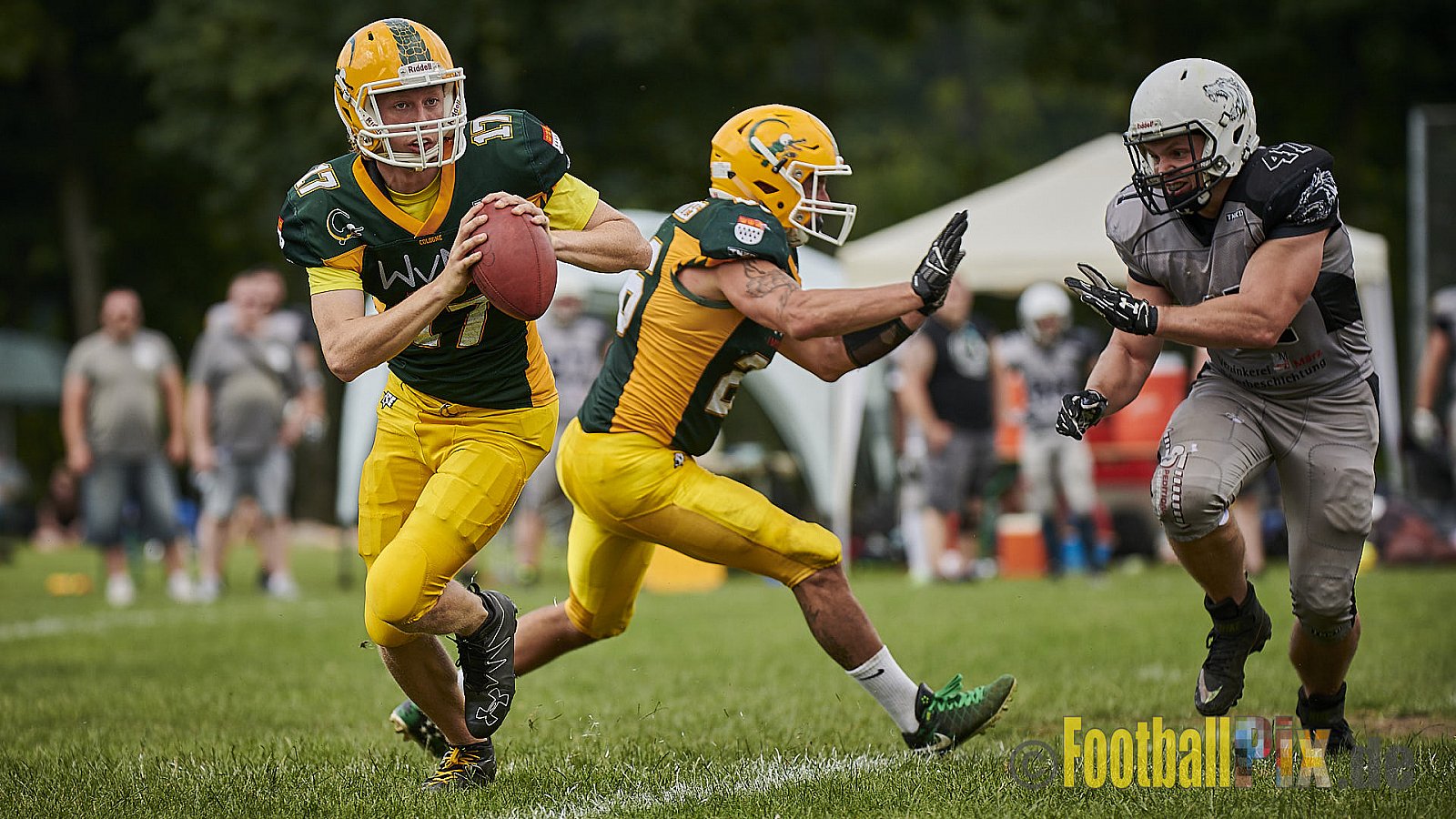 Cologne Crocodiles Prospects vs. Mönchengladbach Wolfpack - CologneCrocodilesProspectsVsMgWolfpack