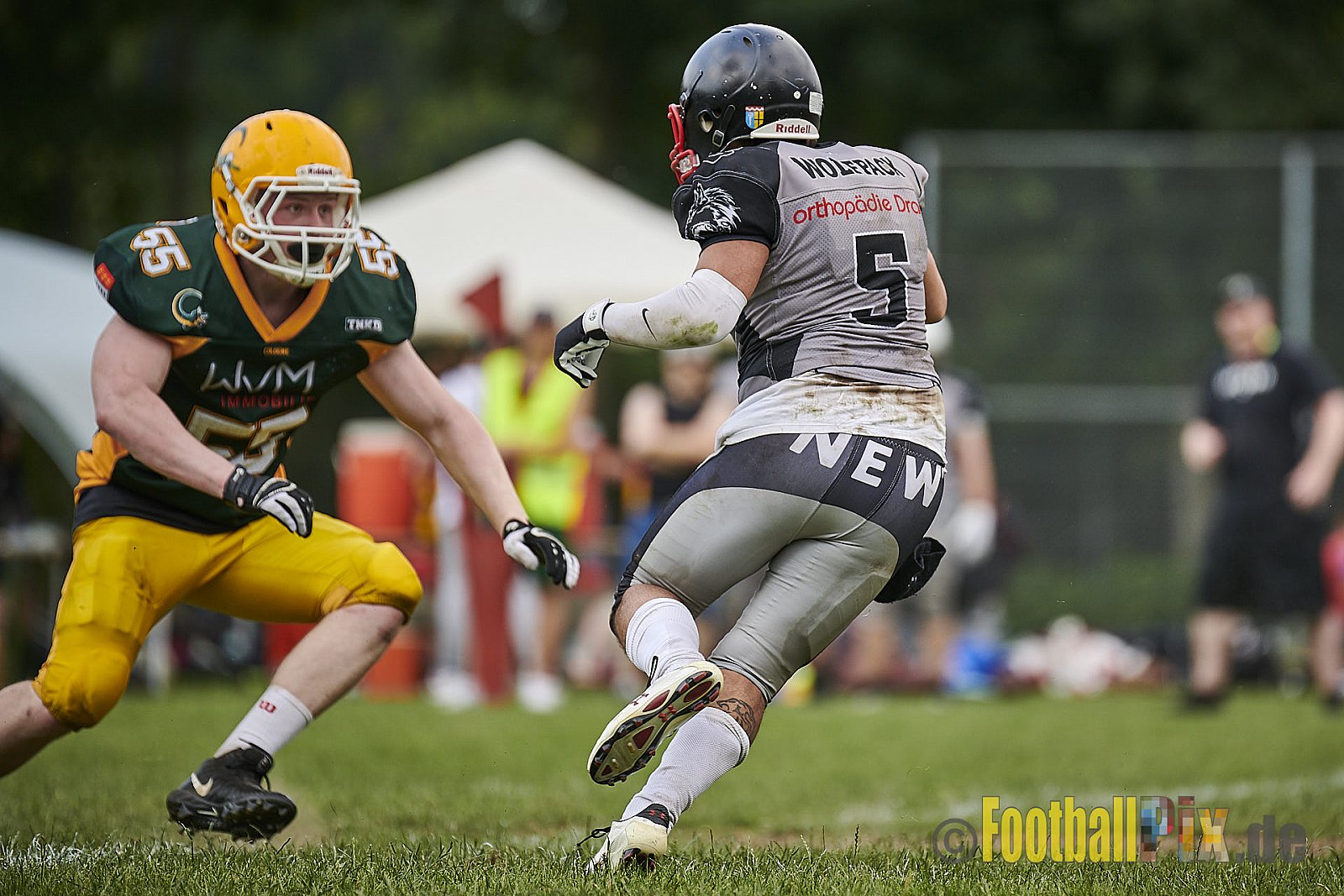 Cologne Crocodiles Prospects vs. Mönchengladbach Wolfpack - CologneCrocodilesProspectsVsMgWolfpack