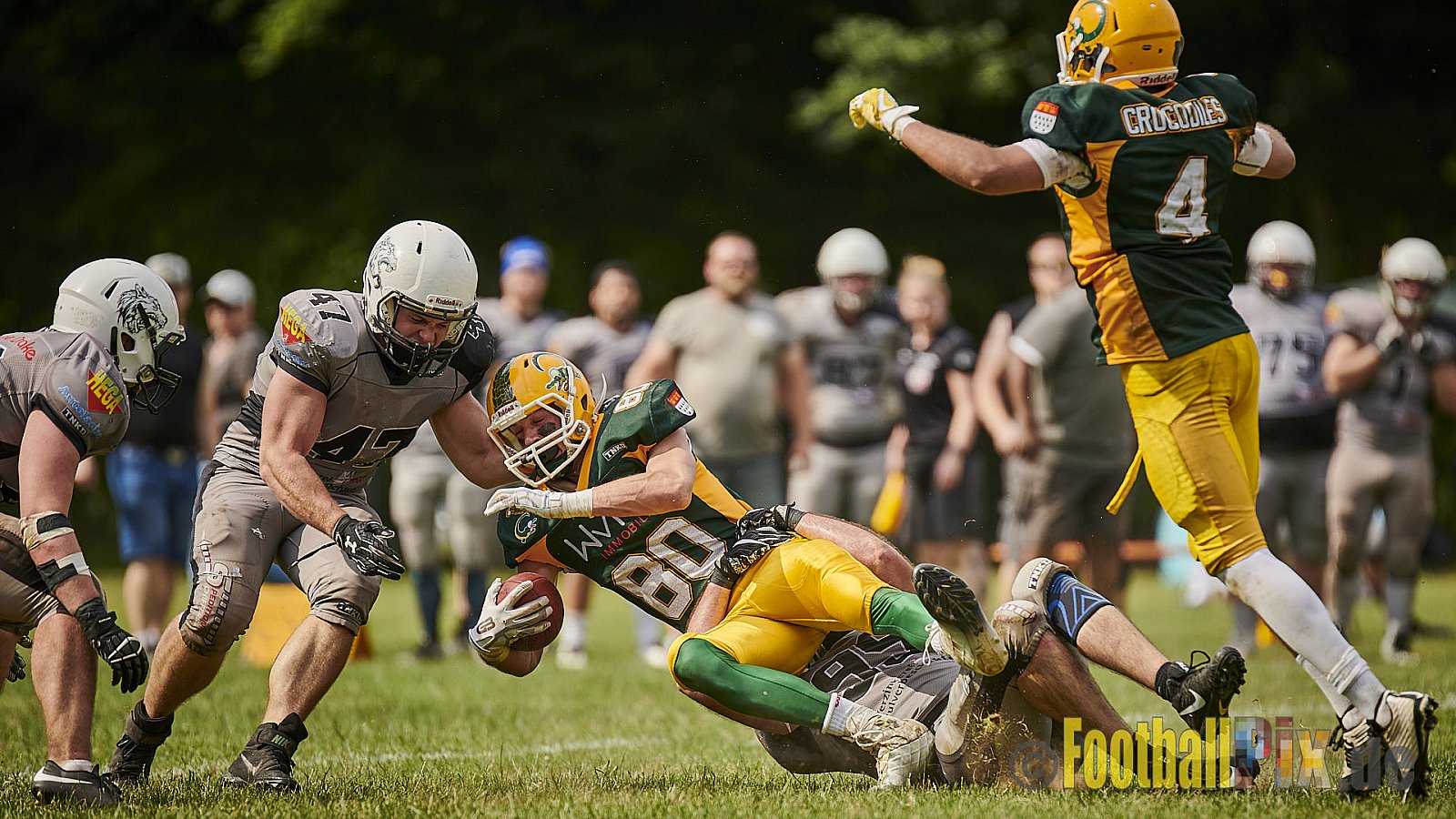 Cologne Crocodiles Prospects vs. Mönchengladbach Wolfpack - CologneCrocodilesProspectsVsMgWolfpack
