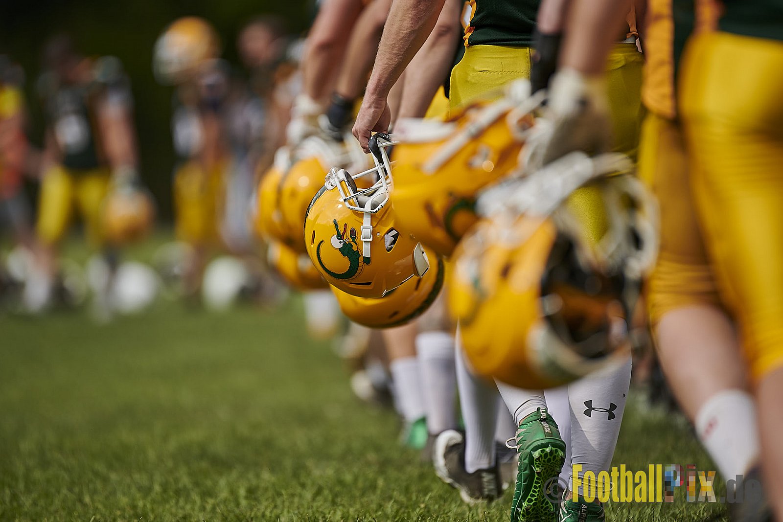 Cologne Crocodiles Prospects vs. Mönchengladbach Wolfpack - CologneCrocodilesProspectsVsMgWolfpack
