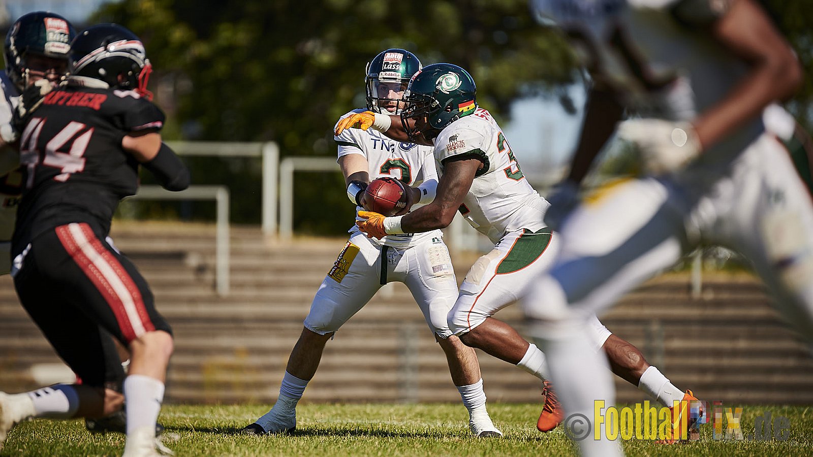 Düsseldorf Panther vs. Kiel Baltic Hurricanes - DPantherVsKielBalticHurricanes