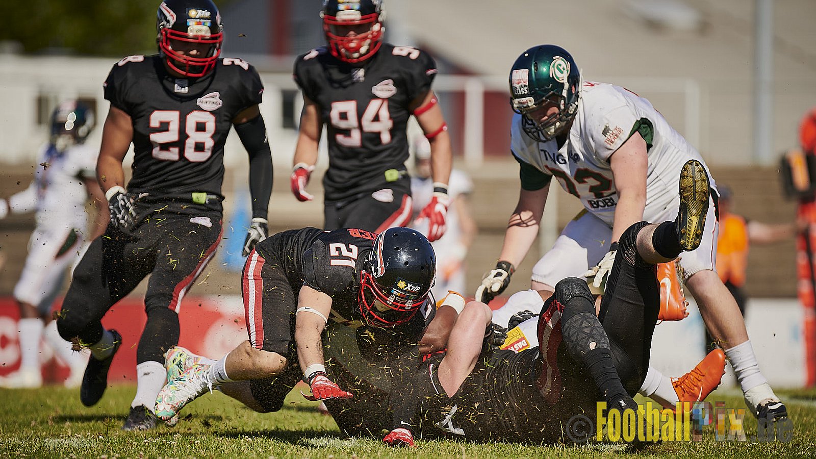 Düsseldorf Panther vs. Kiel Baltic Hurricanes - DPantherVsKielBalticHurricanes