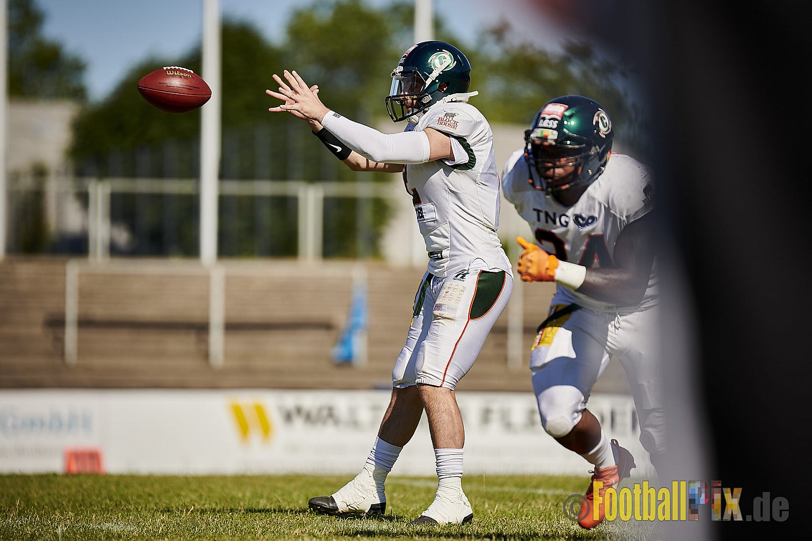Düsseldorf Panther vs. Kiel Baltic Hurricanes - DPantherVsKielBalticHurricanes