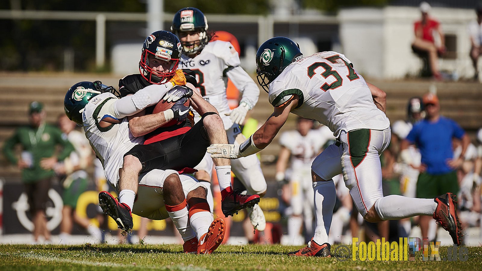 Düsseldorf Panther vs. Kiel Baltic Hurricanes - DPantherVsKielBalticHurricanes