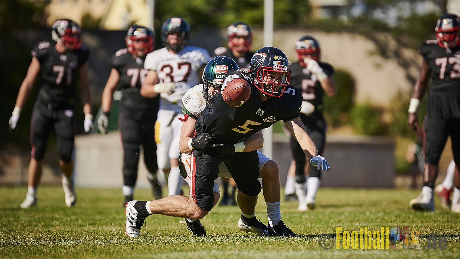 Düsseldorf Panther vs. Kiel Baltic Hurricanes - DPantherVsKielBalticHurricanes