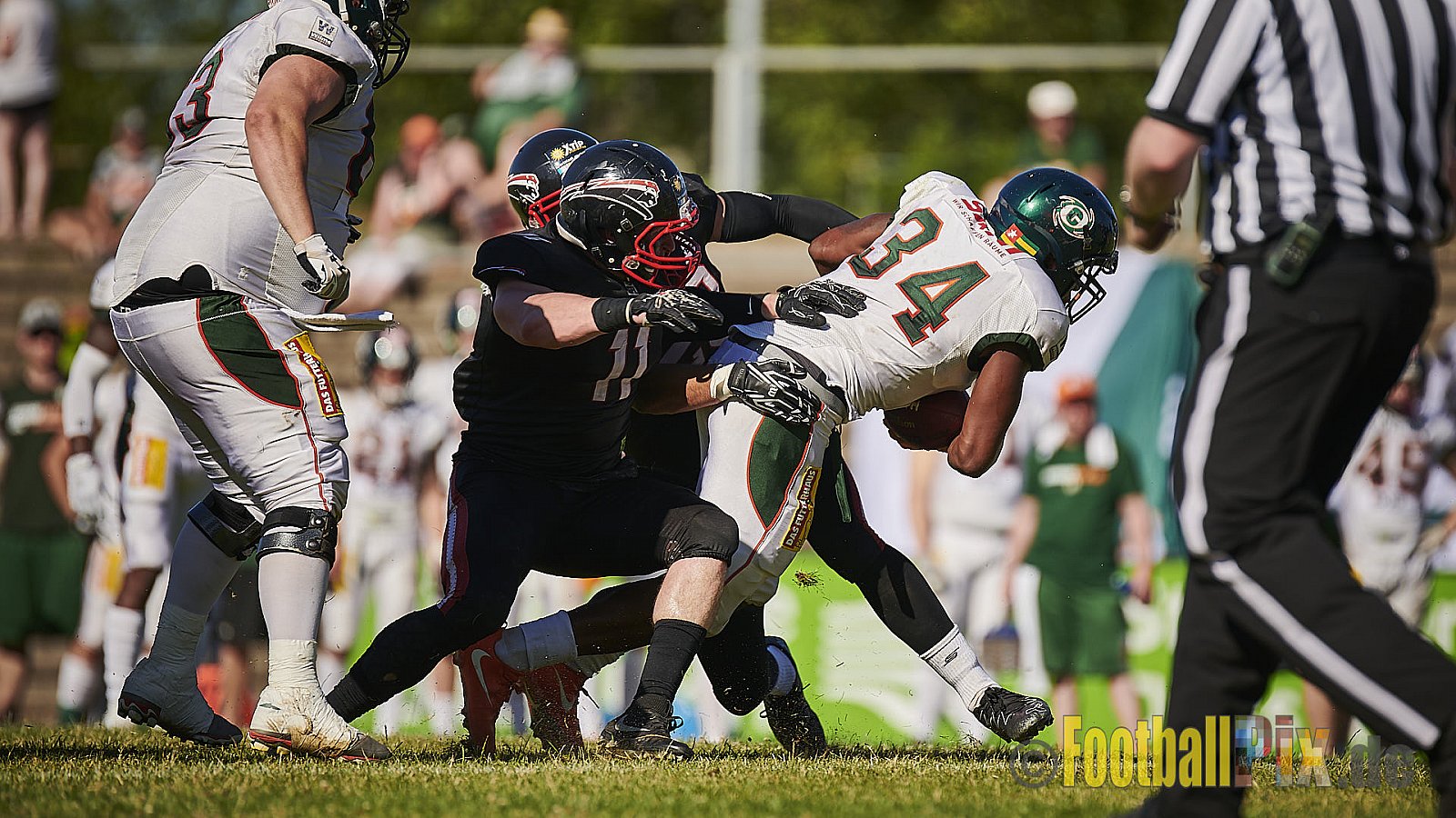 Düsseldorf Panther vs. Kiel Baltic Hurricanes - DPantherVsKielBalticHurricanes