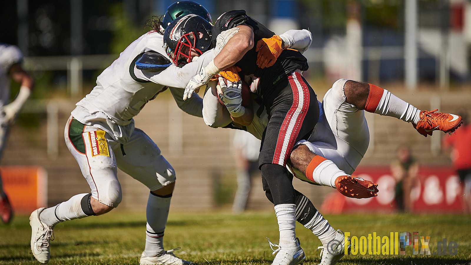 Düsseldorf Panther vs. Kiel Baltic Hurricanes - DPantherVsKielBalticHurricanes