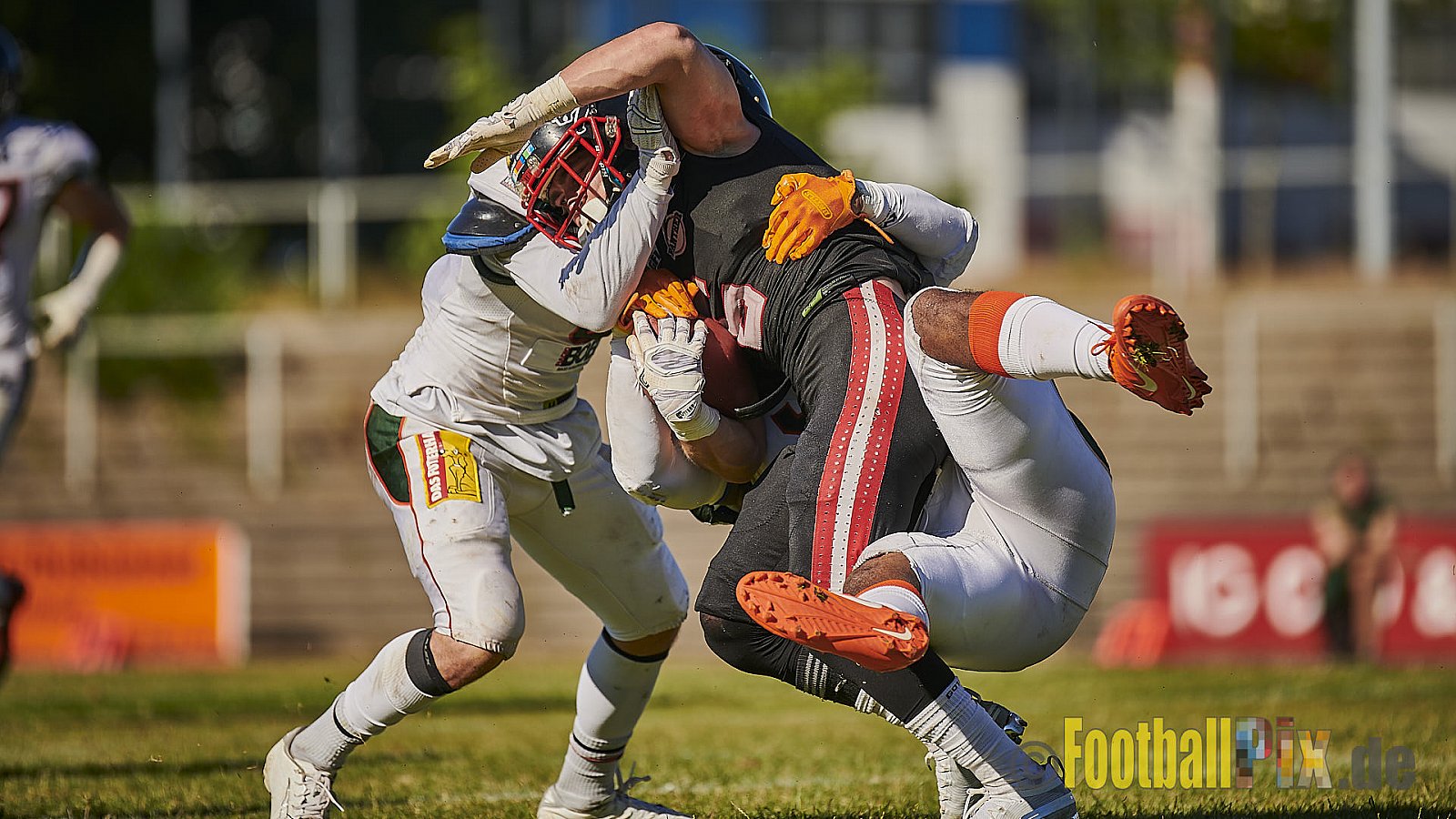 Düsseldorf Panther vs. Kiel Baltic Hurricanes - DPantherVsKielBalticHurricanes