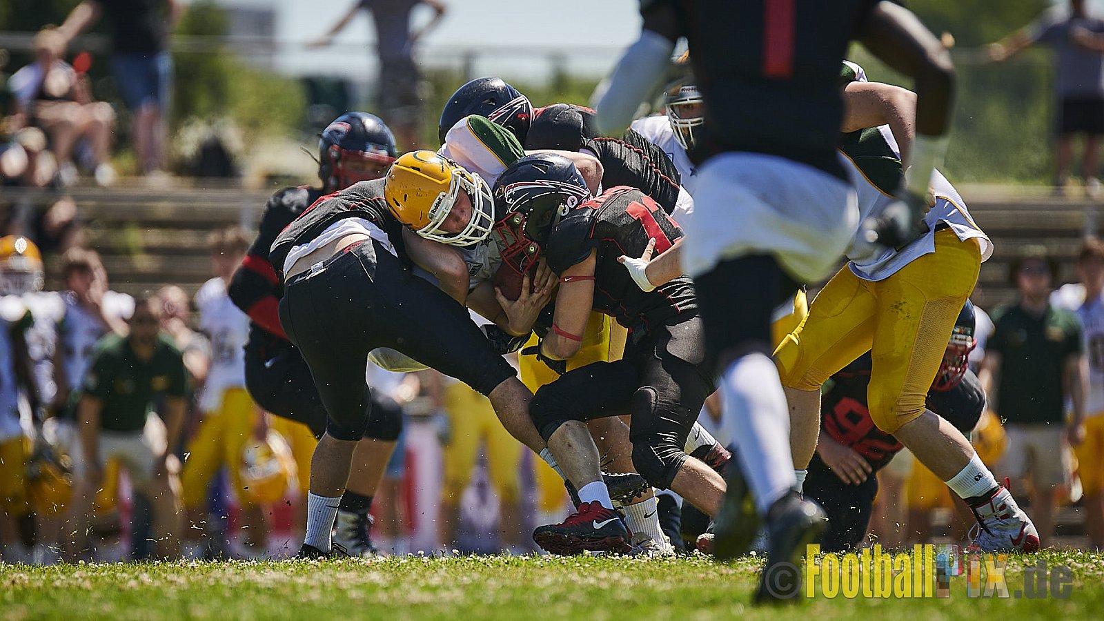Düsseldorf Panther U19 vs. Cologne Crocodiles U19 - DPantherU19VsCologneCrocodilesU19