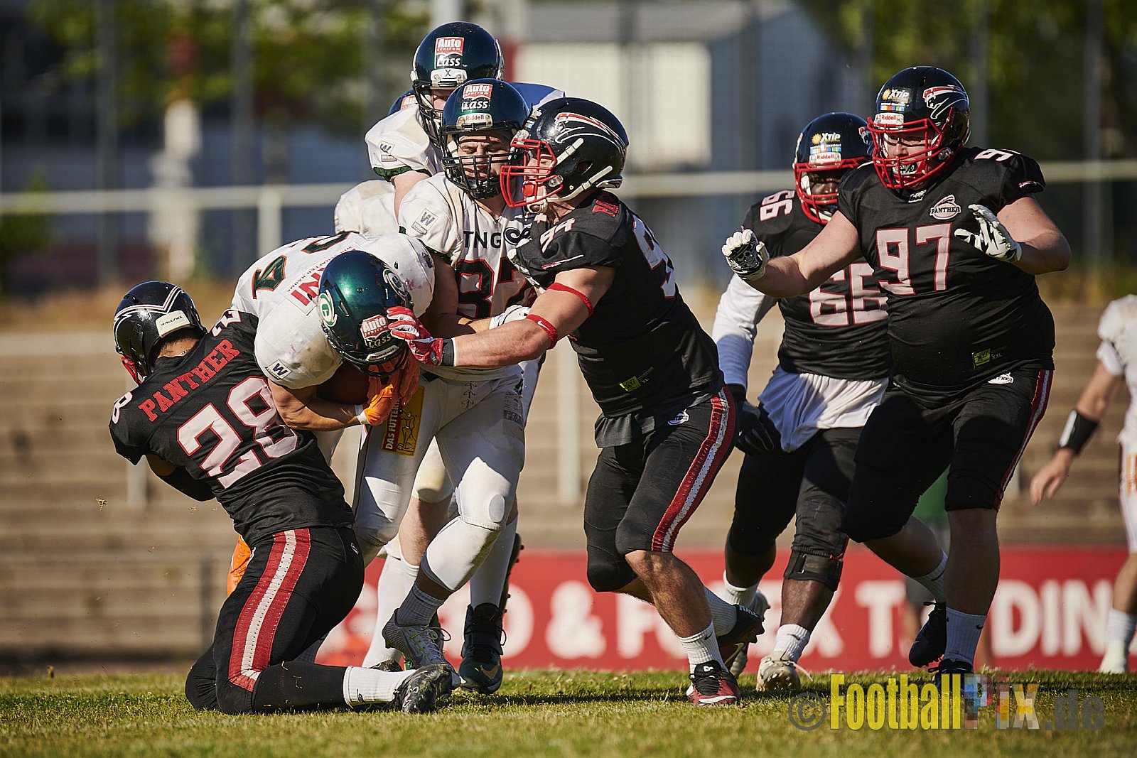 Düsseldorf Panther vs. Kiel Baltic Hurricanes - DPantherVsKielBalticHurricanes