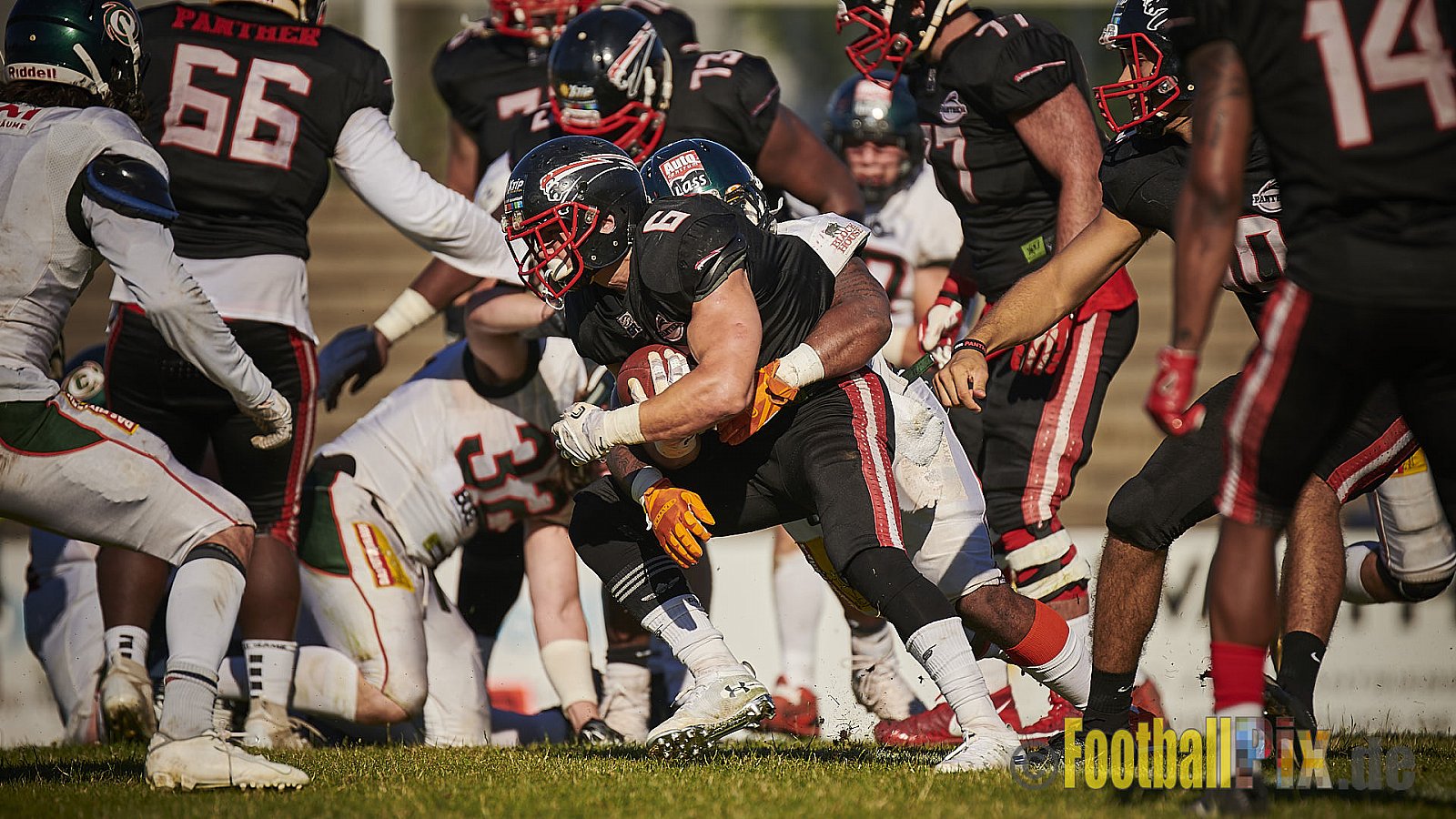 Düsseldorf Panther vs. Kiel Baltic Hurricanes - DPantherVsKielBalticHurricanes