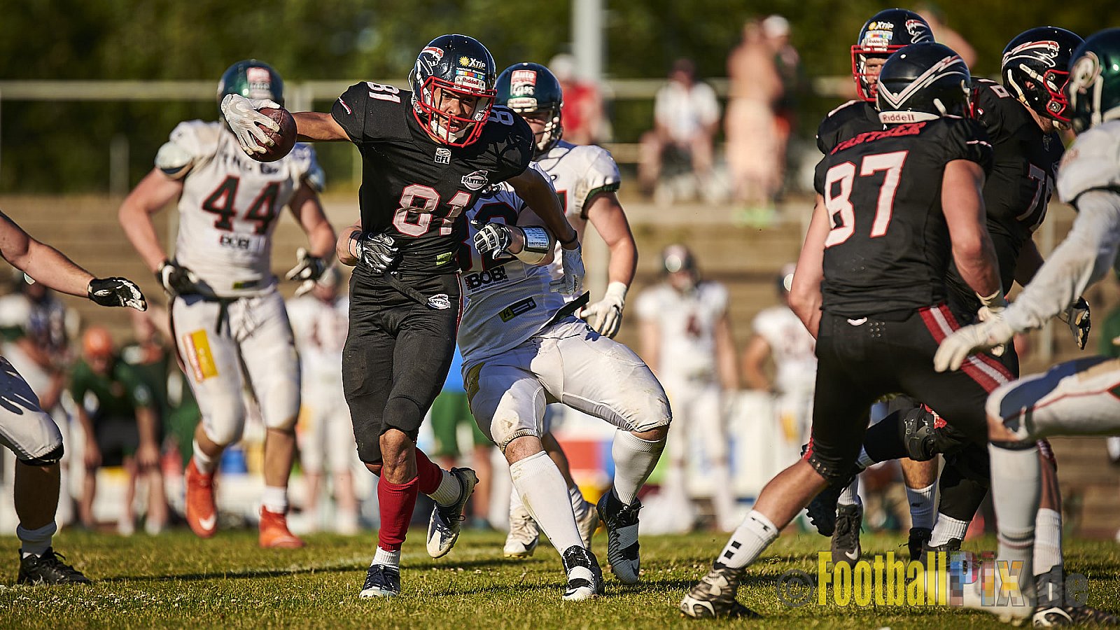 Düsseldorf Panther vs. Kiel Baltic Hurricanes - DPantherVsKielBalticHurricanes