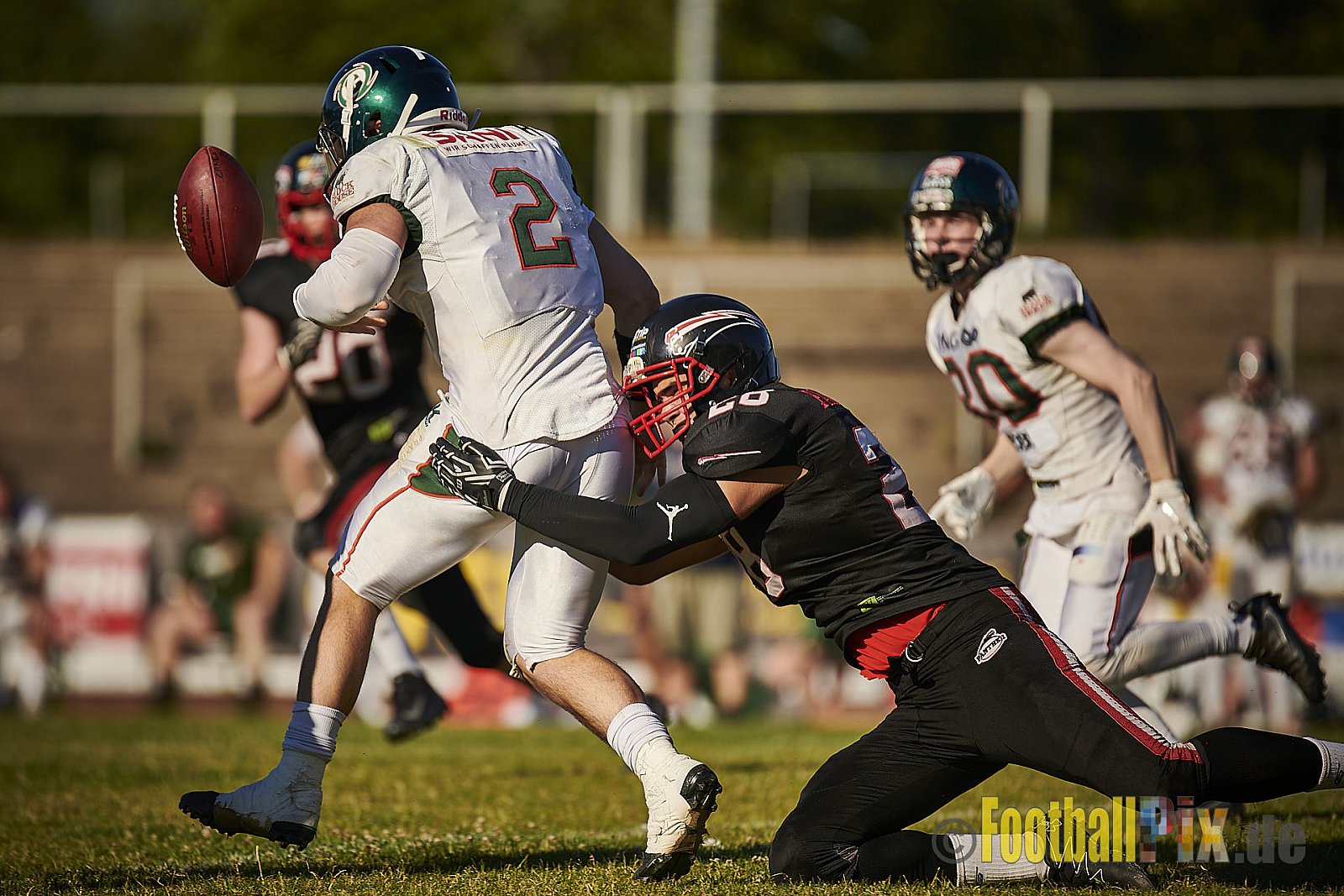 Düsseldorf Panther vs. Kiel Baltic Hurricanes - DPantherVsKielBalticHurricanes