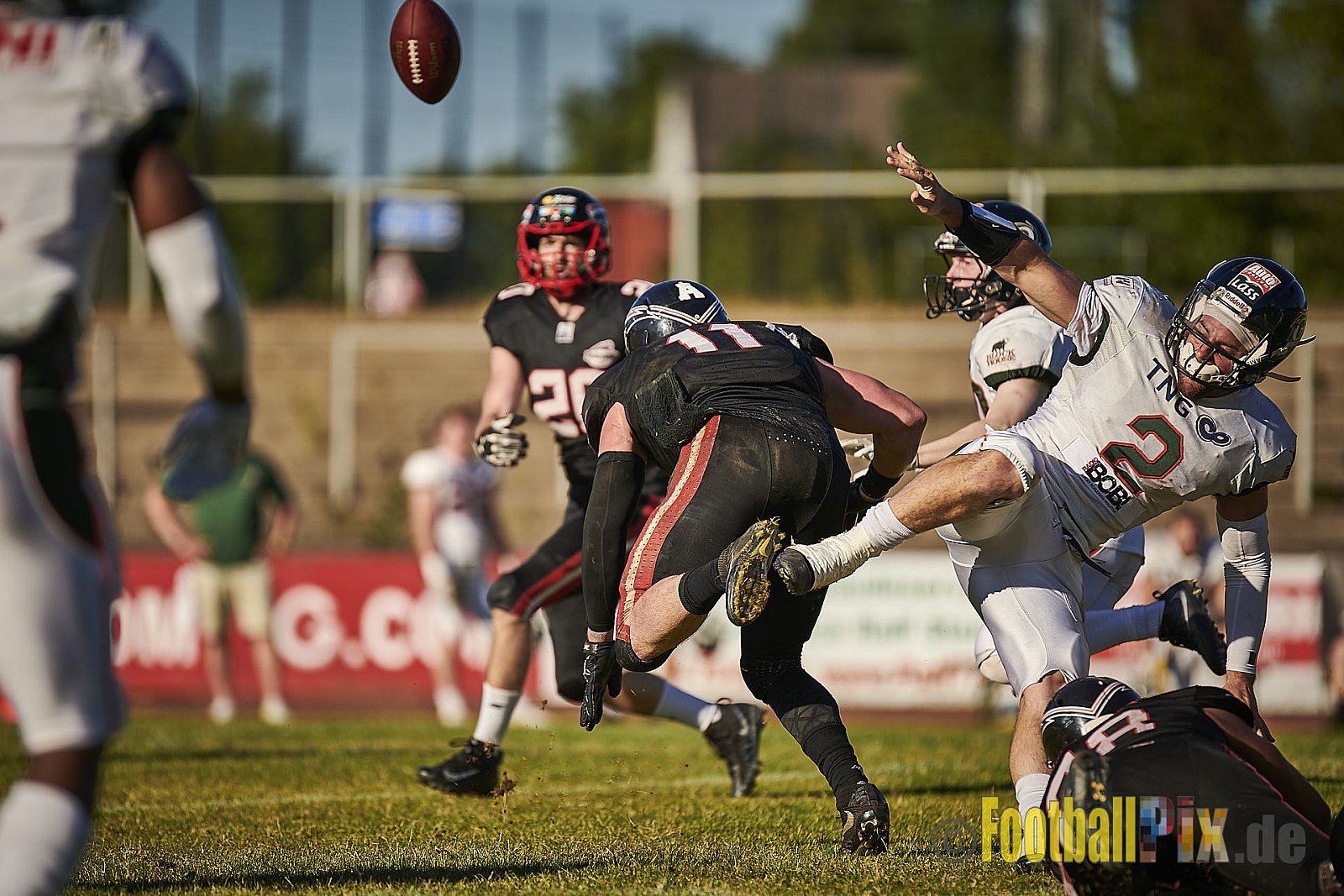 Düsseldorf Panther vs. Kiel Baltic Hurricanes - DPantherVsKielBalticHurricanes