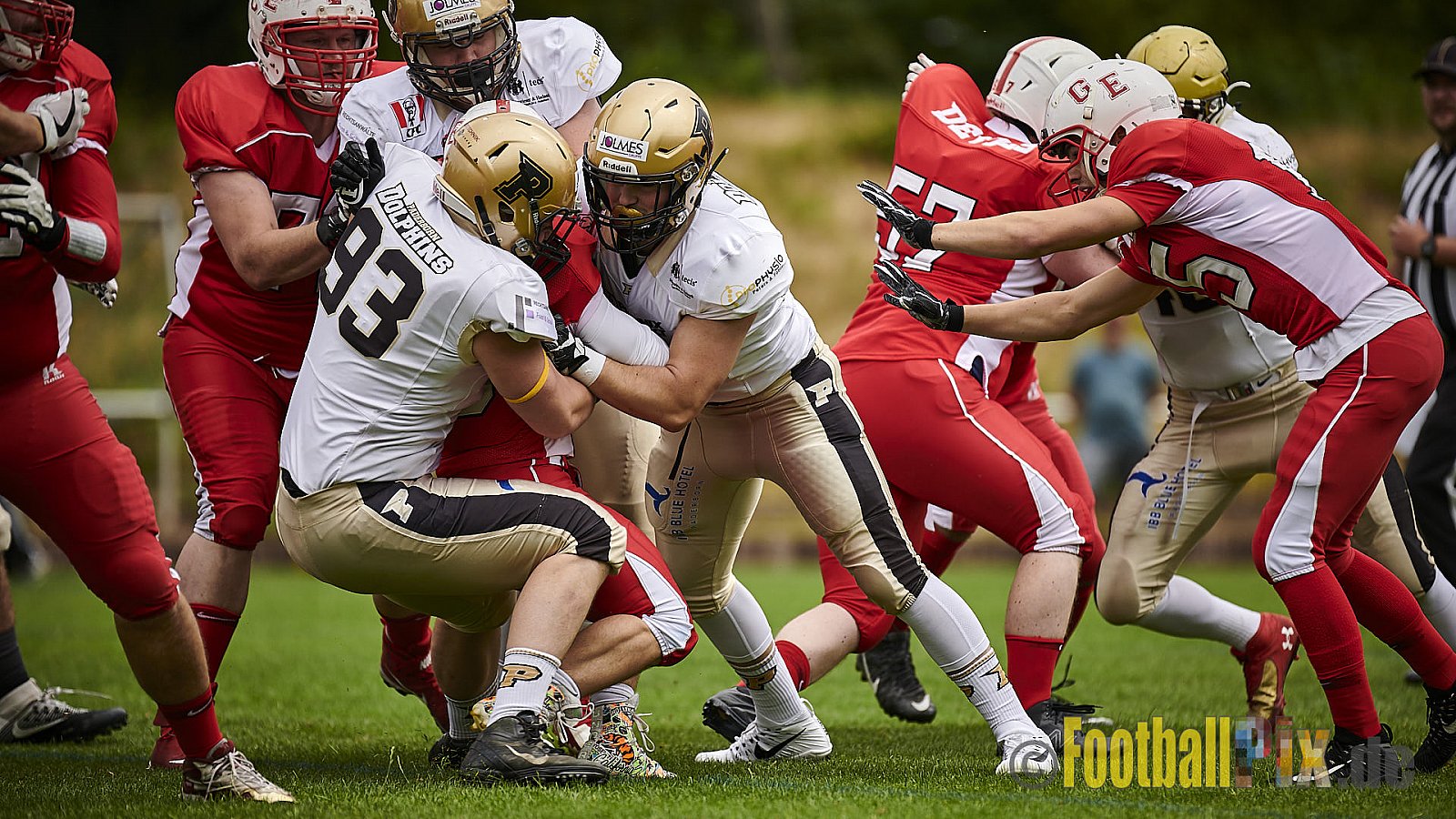 Gelsenkirchen Devils vs. Paderborn Dolphins - GelsenkirchenDevilsVsPaderbornDolphins