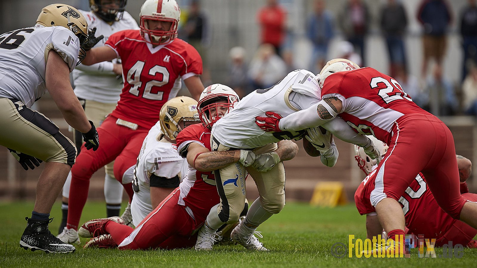Gelsenkirchen Devils vs. Paderborn Dolphins - GelsenkirchenDevilsVsPaderbornDolphins