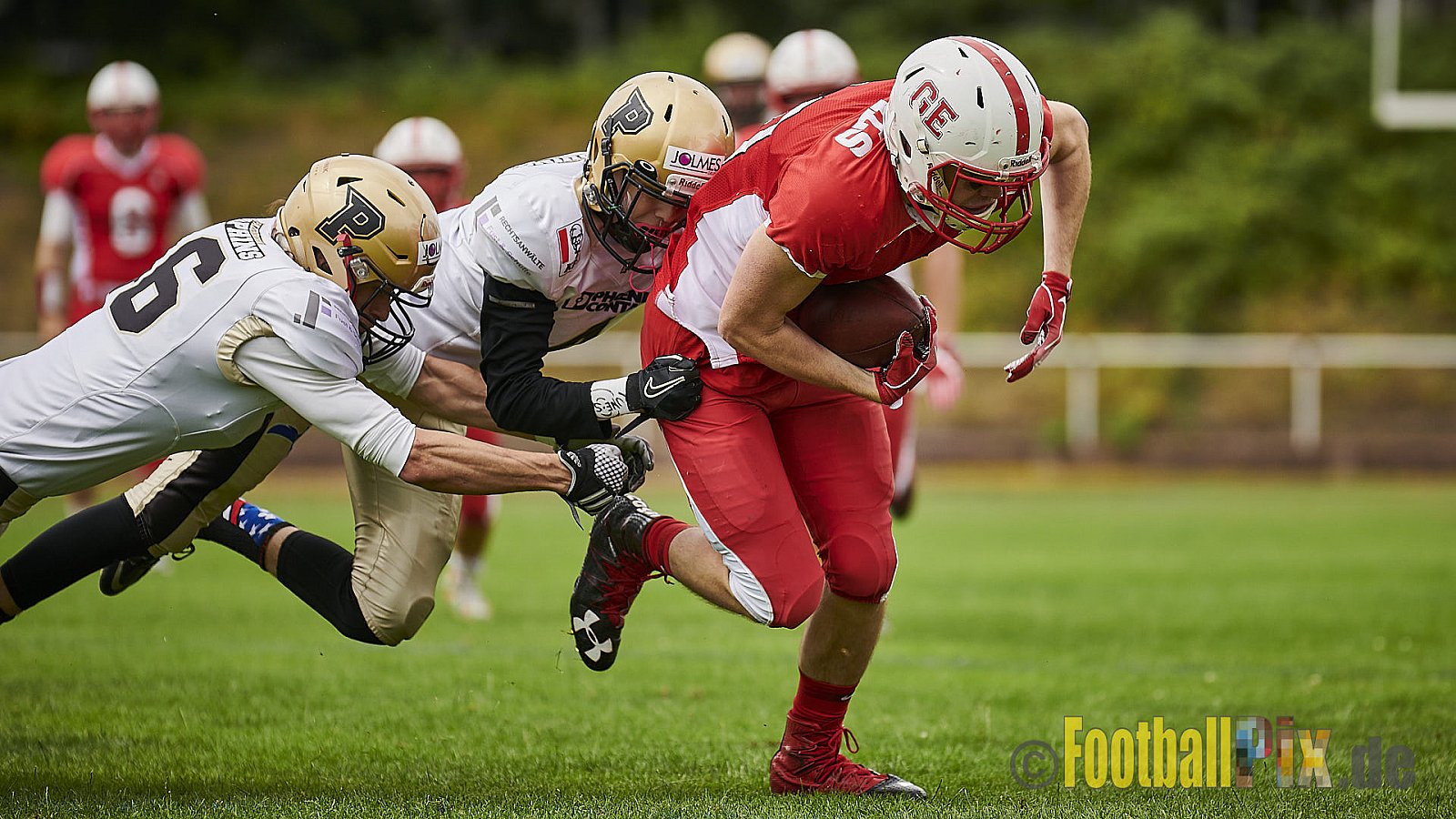 Gelsenkirchen Devils vs. Paderborn Dolphins - GelsenkirchenDevilsVsPaderbornDolphins